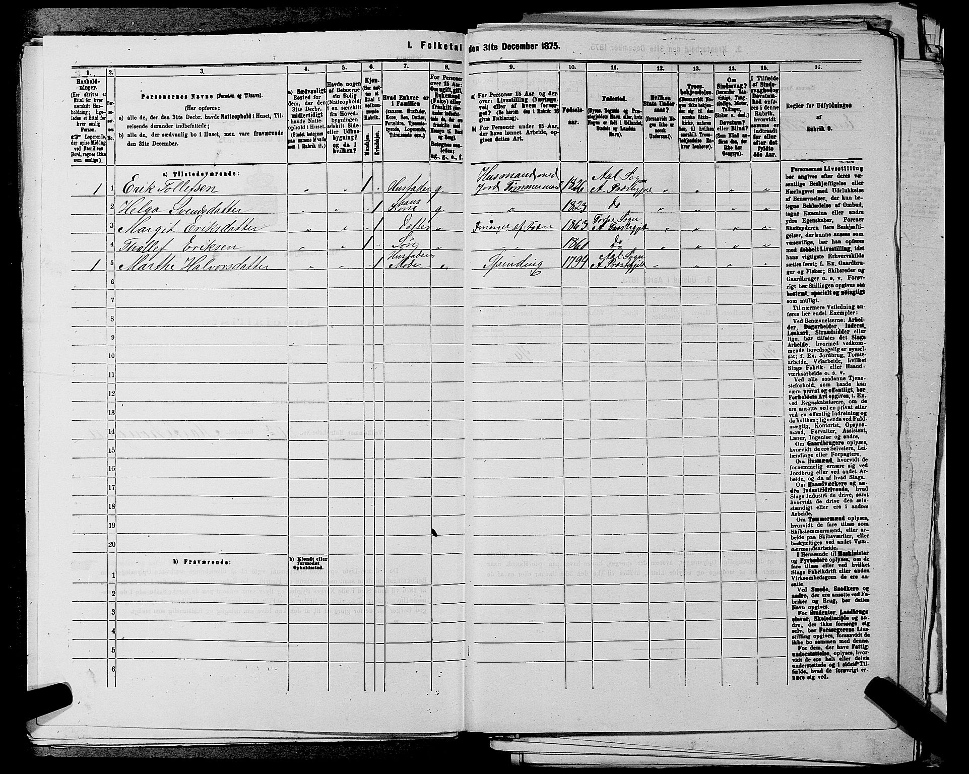 SAKO, 1875 census for 0619P Ål, 1875, p. 309