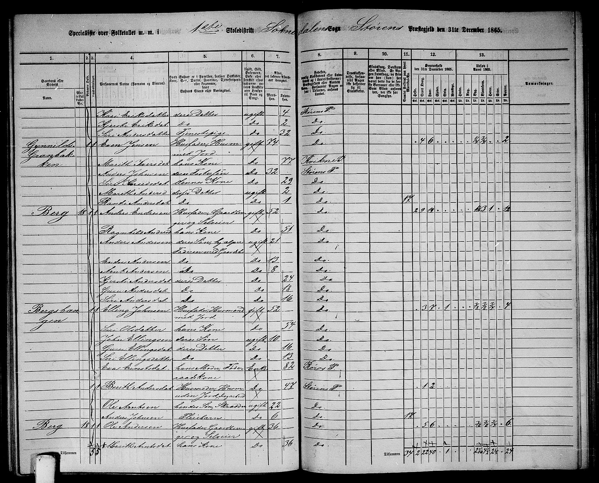 RA, 1865 census for Støren, 1865, p. 222