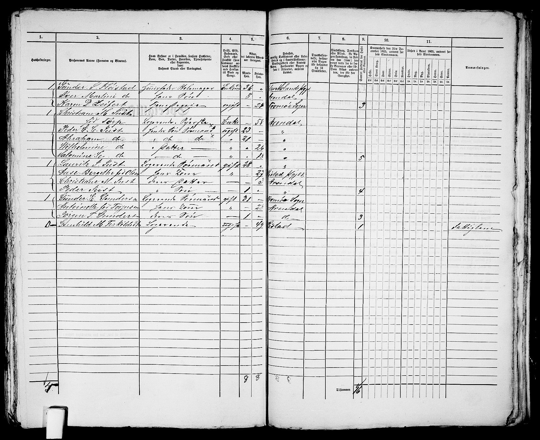 RA, 1865 census for Arendal, 1865, p. 645