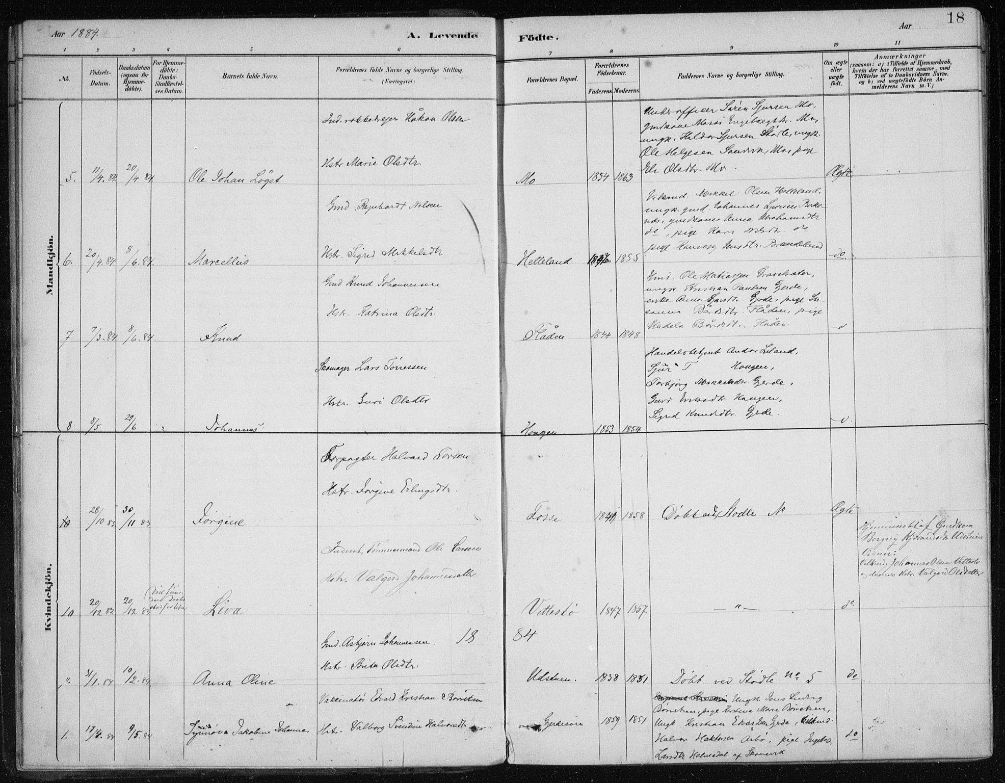 Etne sokneprestembete, AV/SAB-A-75001/H/Haa: Parish register (official) no. C  1, 1879-1919, p. 18