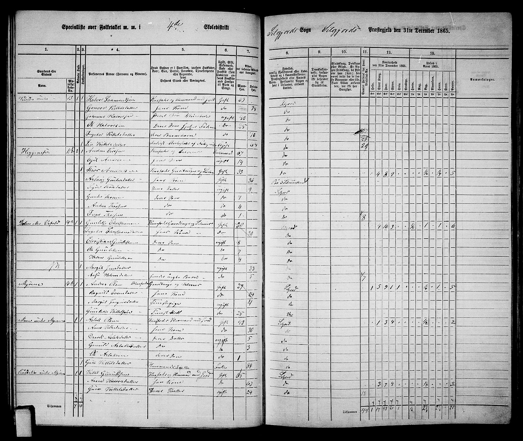 RA, 1865 census for Seljord, 1865, p. 61