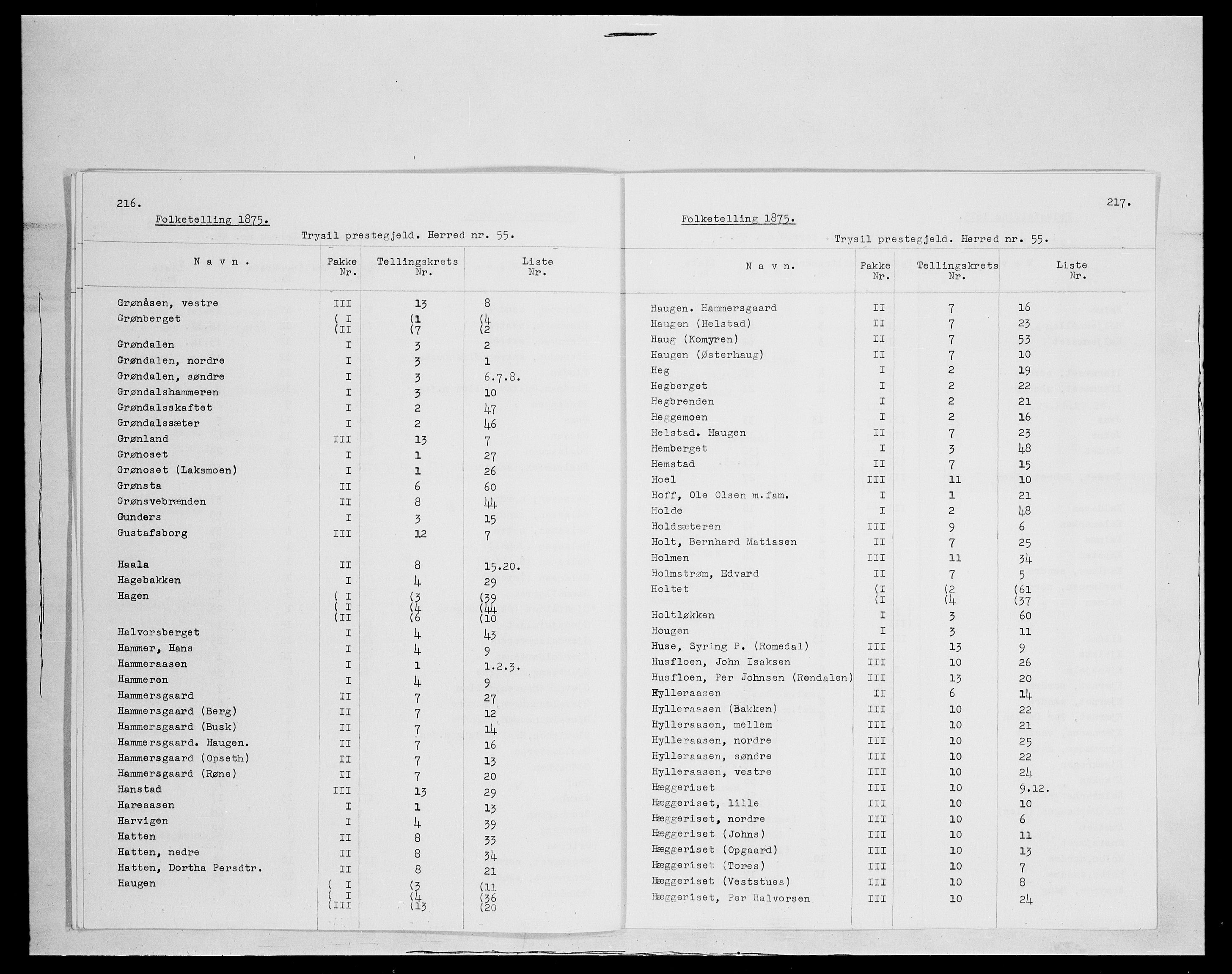 SAH, 1875 census for 0428P Trysil, 1875, p. 3