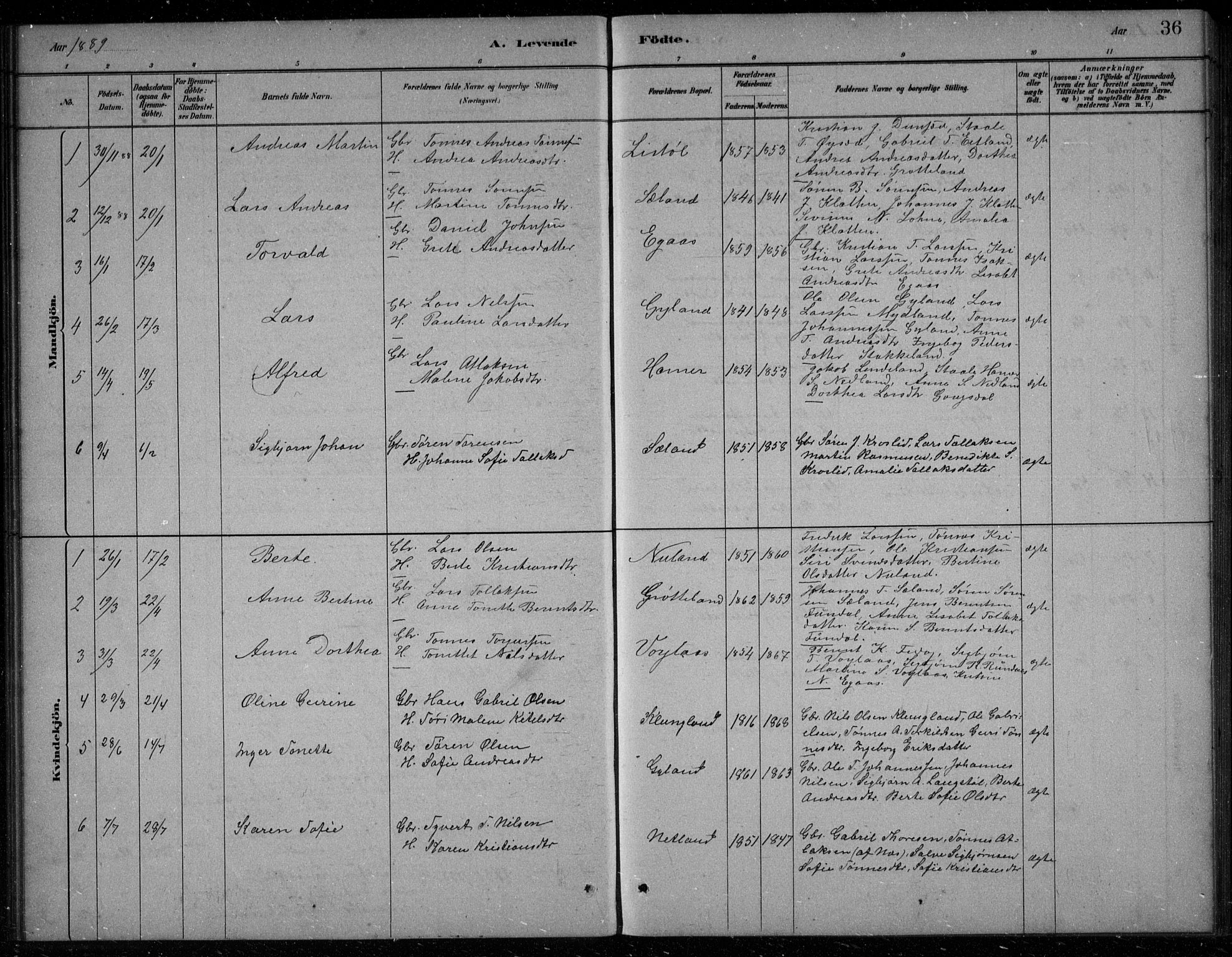 Bakke sokneprestkontor, SAK/1111-0002/F/Fb/Fbb/L0003: Parish register (copy) no. B 3, 1878-1896, p. 36