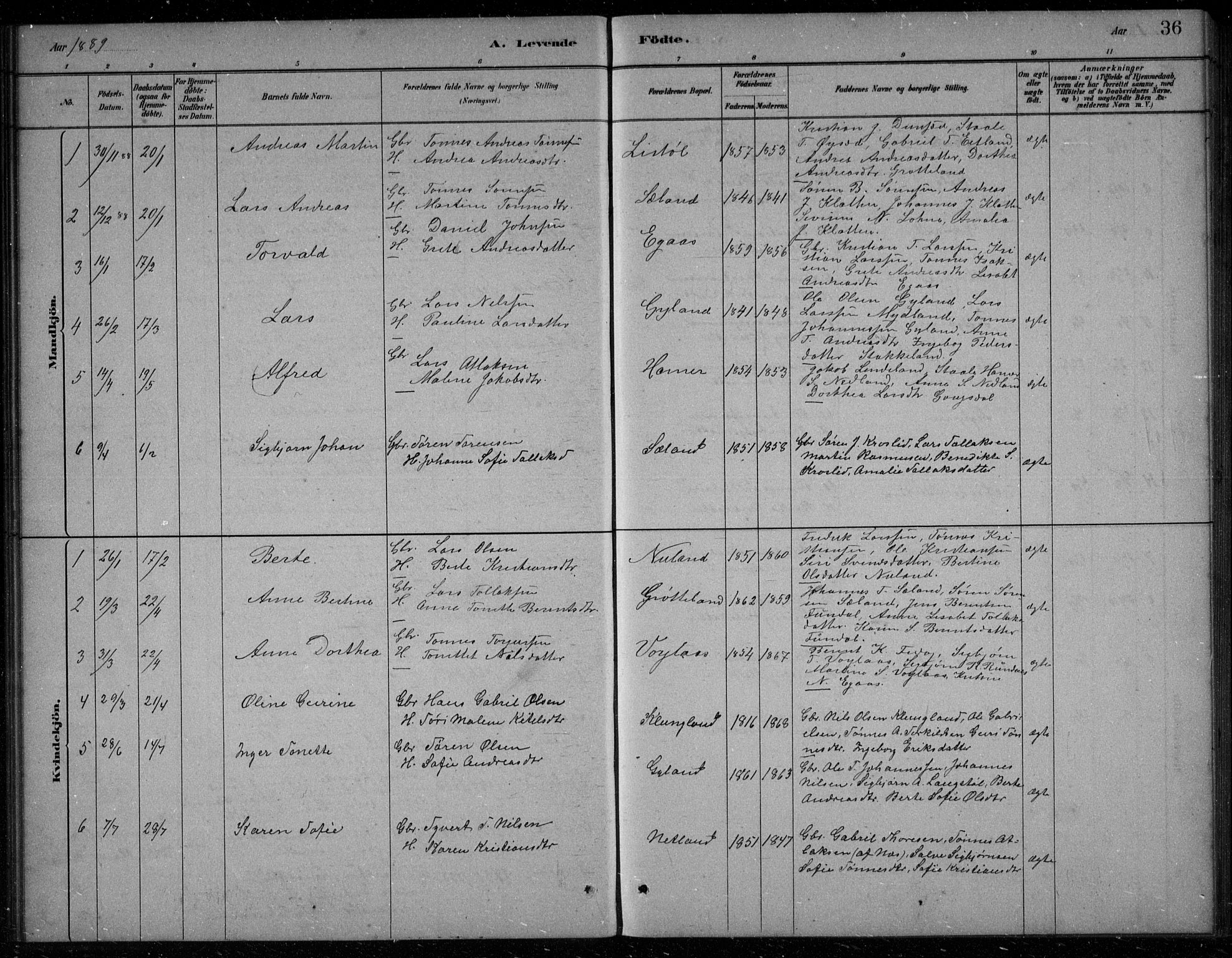 Bakke sokneprestkontor, AV/SAK-1111-0002/F/Fb/Fbb/L0003: Parish register (copy) no. B 3, 1878-1896, p. 36