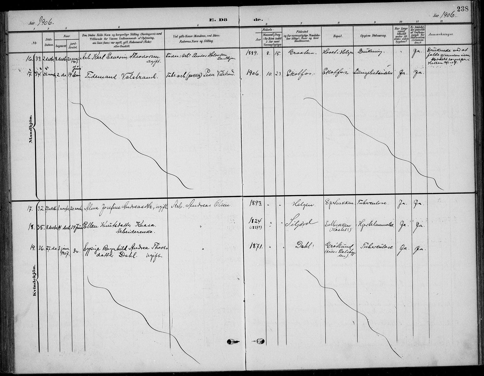 Solum kirkebøker, AV/SAKO-A-306/F/Fb/L0003: Parish register (official) no. II 3, 1901-1912, p. 238