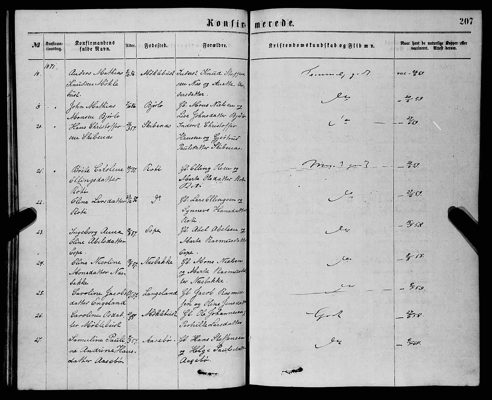 Eid sokneprestembete, AV/SAB-A-82301/H/Haa/Haaa/L0010: Parish register (official) no. A 10, 1867-1878, p. 207