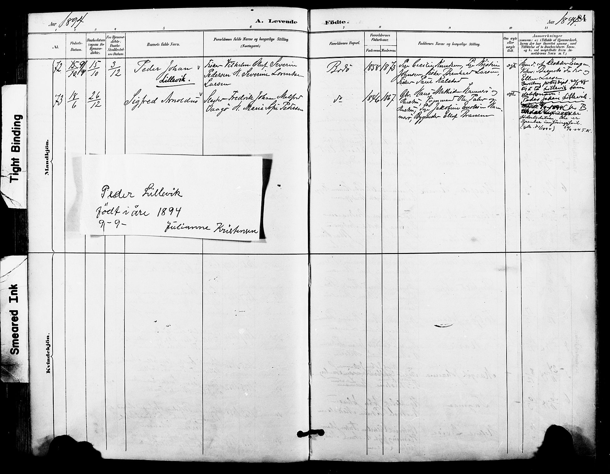Ministerialprotokoller, klokkerbøker og fødselsregistre - Nordland, SAT/A-1459/801/L0010: Parish register (official) no. 801A10, 1888-1899