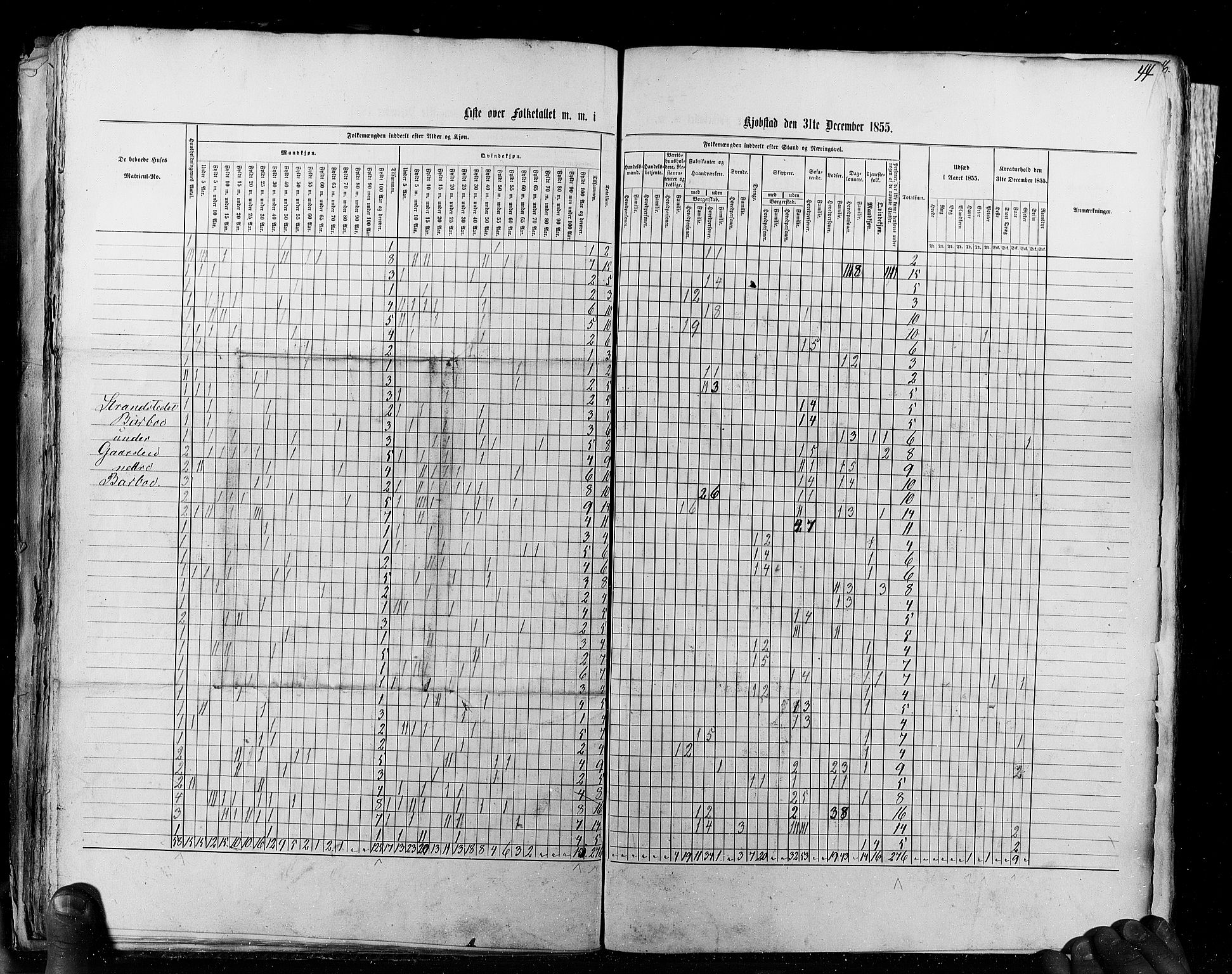 RA, Census 1855, vol. 8: Risør-Vadsø, 1855, p. 44