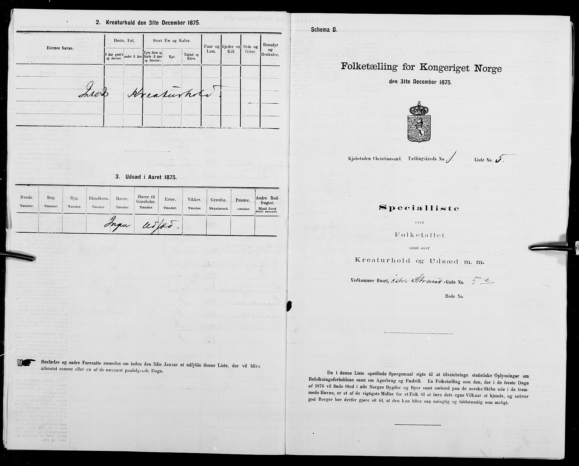 SAK, 1875 census for 1001P Kristiansand, 1875, p. 26