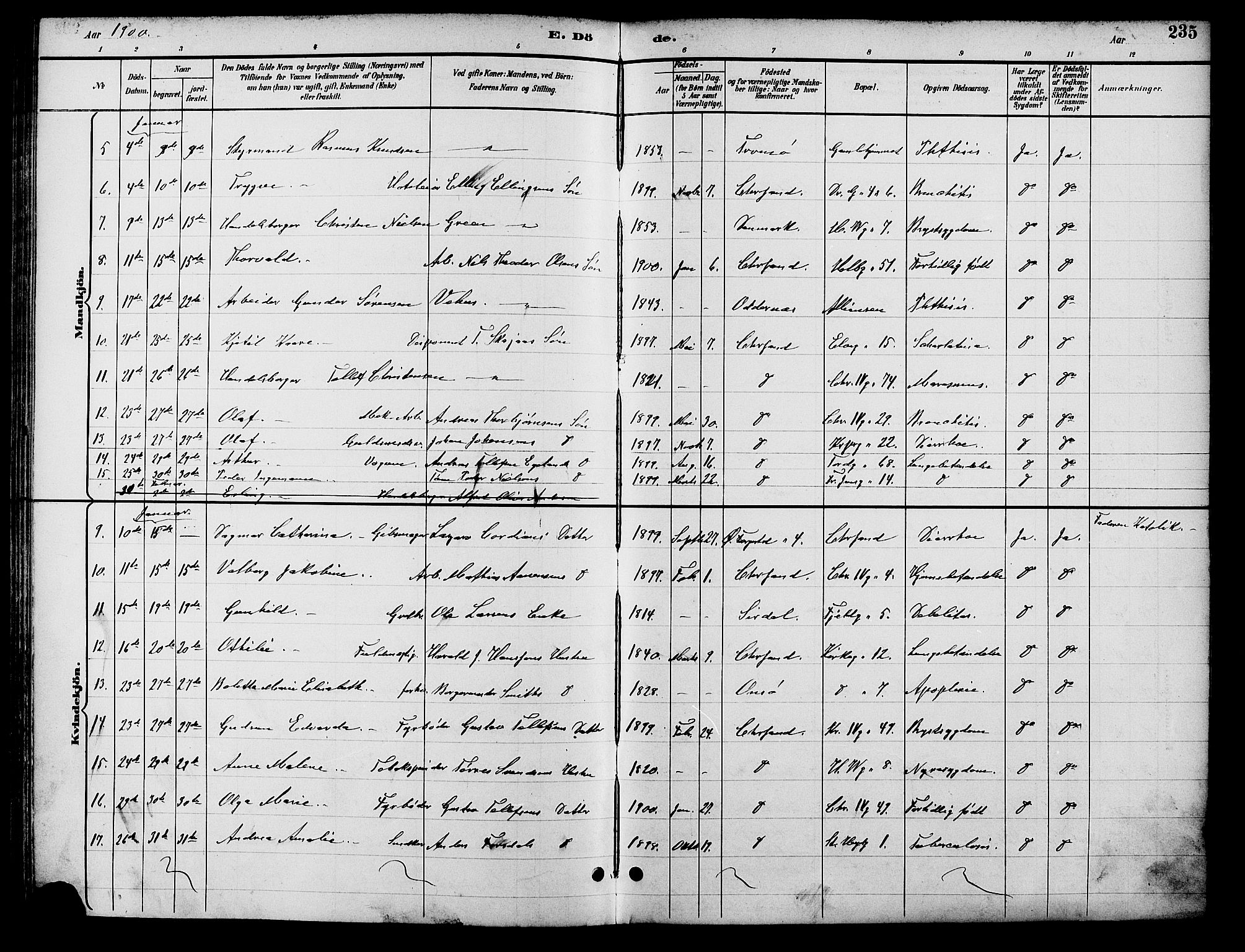 Kristiansand domprosti, SAK/1112-0006/F/Fb/L0017: Parish register (copy) no. B 17, 1893-1906, p. 235