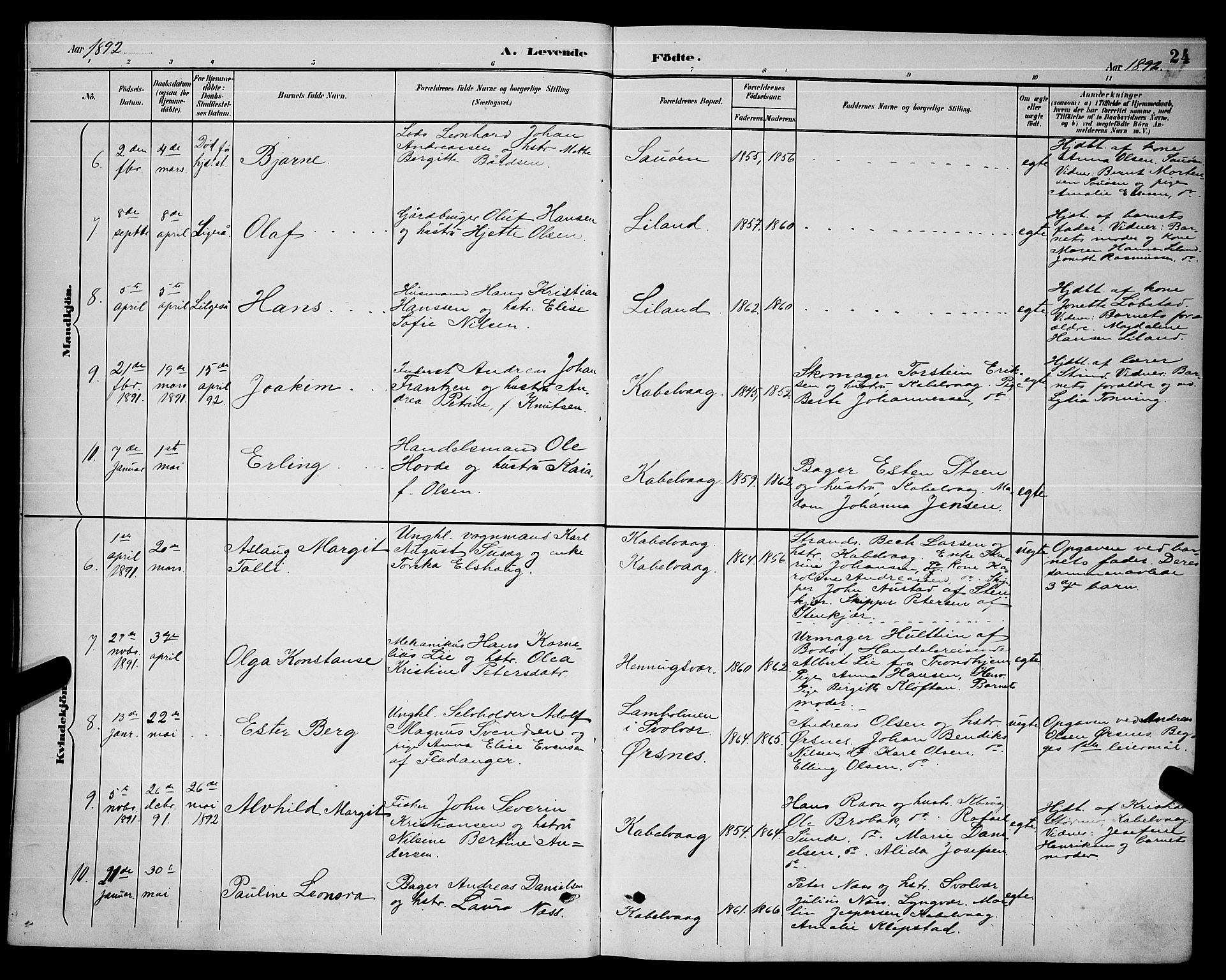 Ministerialprotokoller, klokkerbøker og fødselsregistre - Nordland, AV/SAT-A-1459/874/L1077: Parish register (copy) no. 874C06, 1891-1900, p. 24