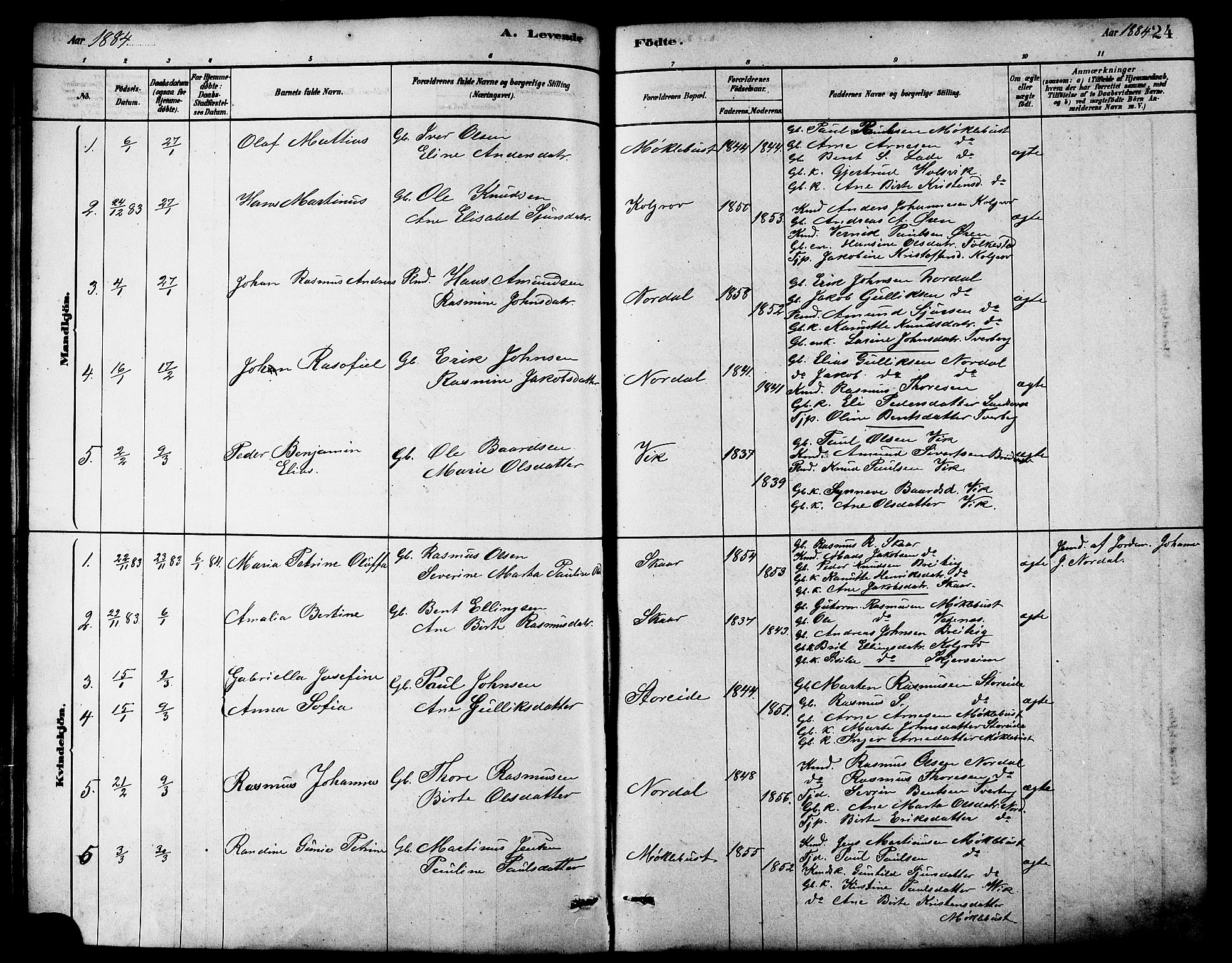 Ministerialprotokoller, klokkerbøker og fødselsregistre - Møre og Romsdal, AV/SAT-A-1454/502/L0027: Parish register (copy) no. 502C01, 1878-1908, p. 24