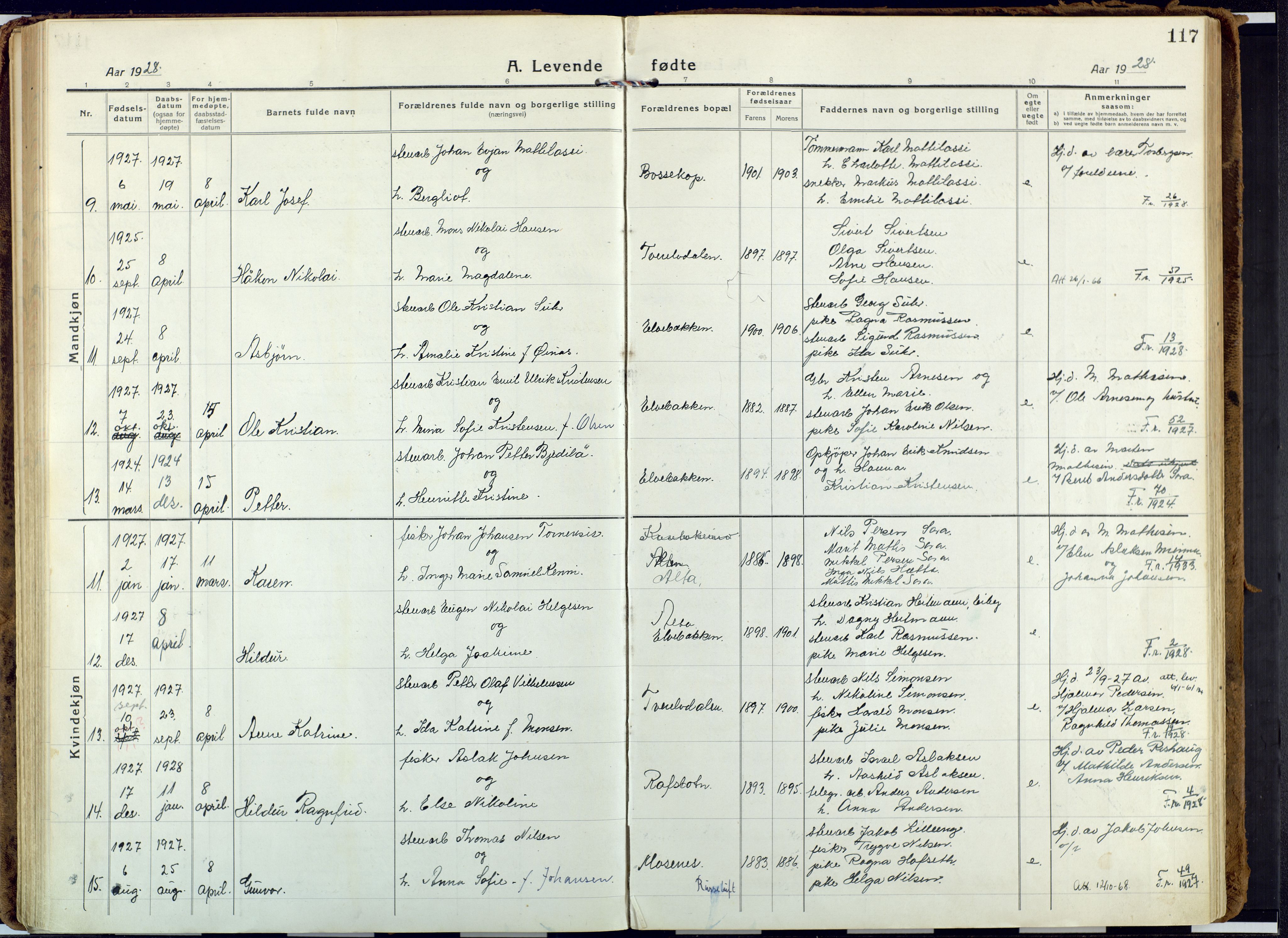 Alta sokneprestkontor, AV/SATØ-S-1338/H/Ha: Parish register (official) no. 6, 1918-1931, p. 117