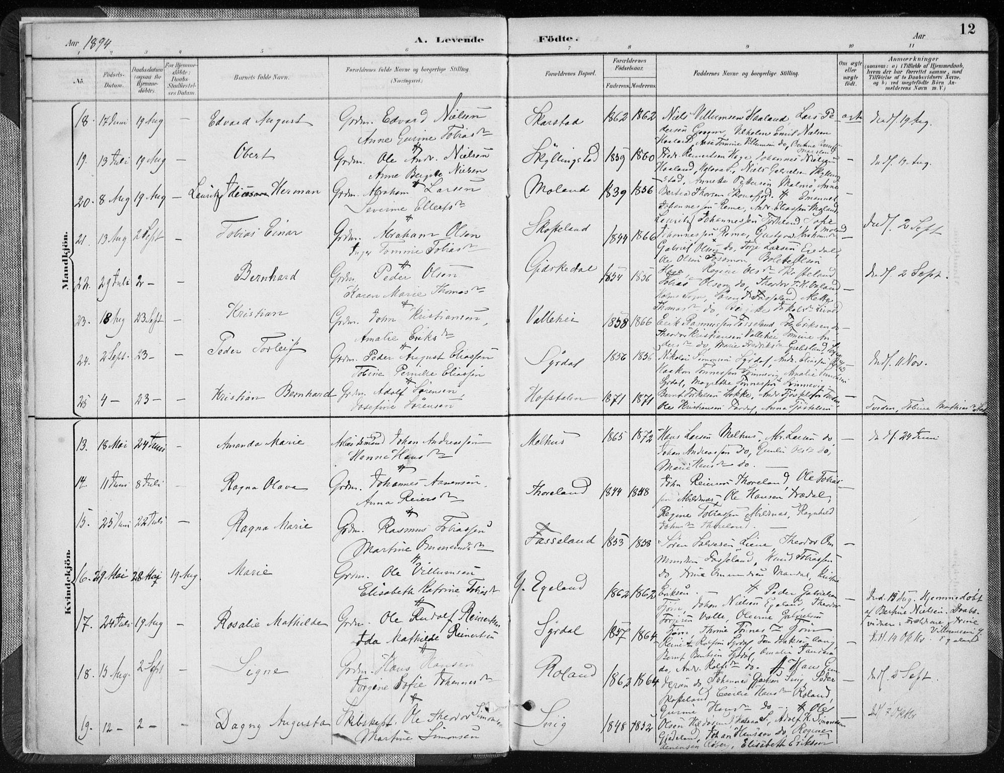 Sør-Audnedal sokneprestkontor, AV/SAK-1111-0039/F/Fa/Fab/L0010: Parish register (official) no. A 10, 1892-1913, p. 12