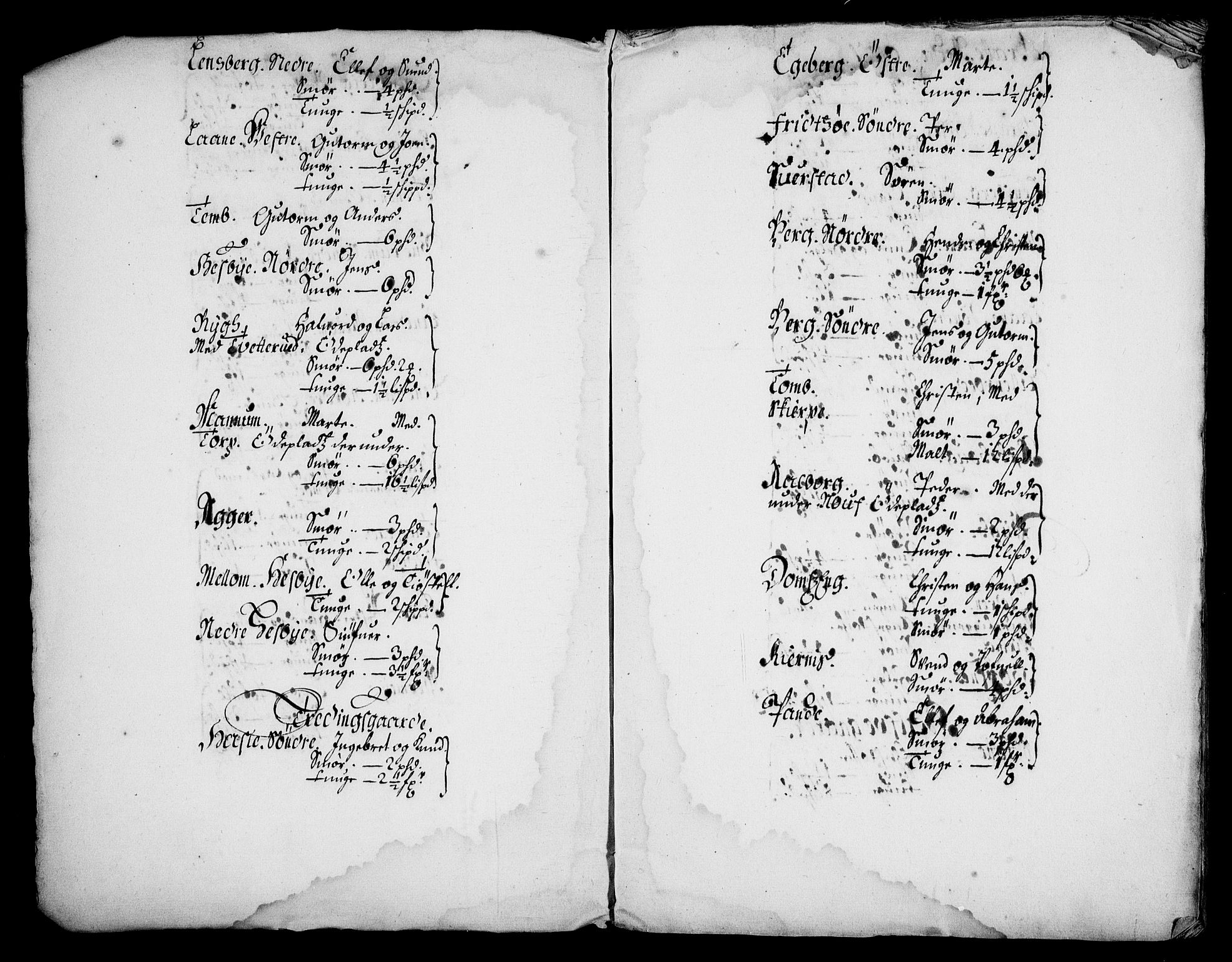 Rentekammeret inntil 1814, Realistisk ordnet avdeling, AV/RA-EA-4070/N/Na/L0003/0003: [XI h]: Tønsbergs amt og Larvik grevskaps jordebøker: / (C) Smør- og kjøttskatt, inkludert Griffenfelds gods i Larvik grevskap, 1674