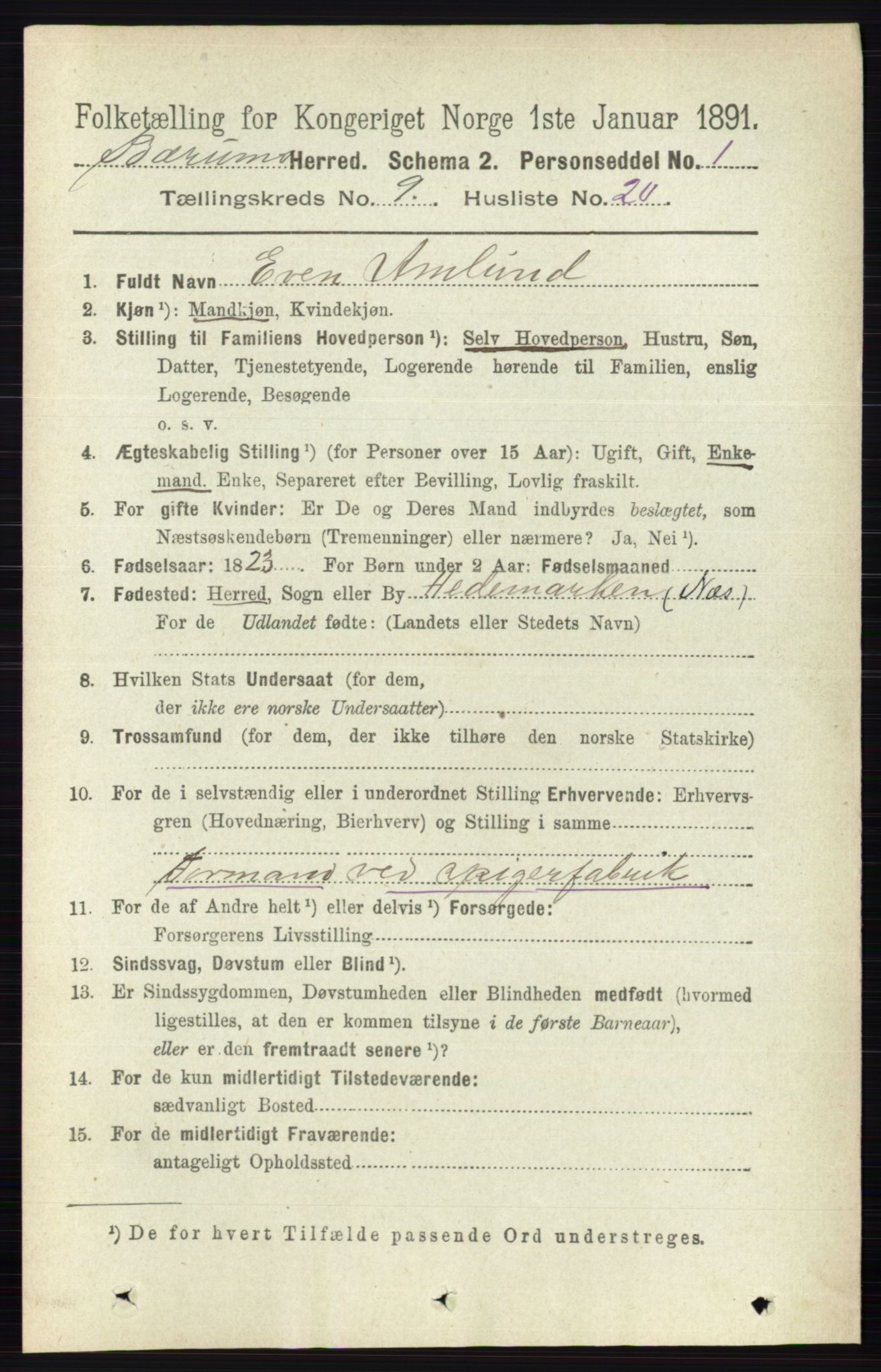 RA, 1891 census for 0219 Bærum, 1891, p. 5289