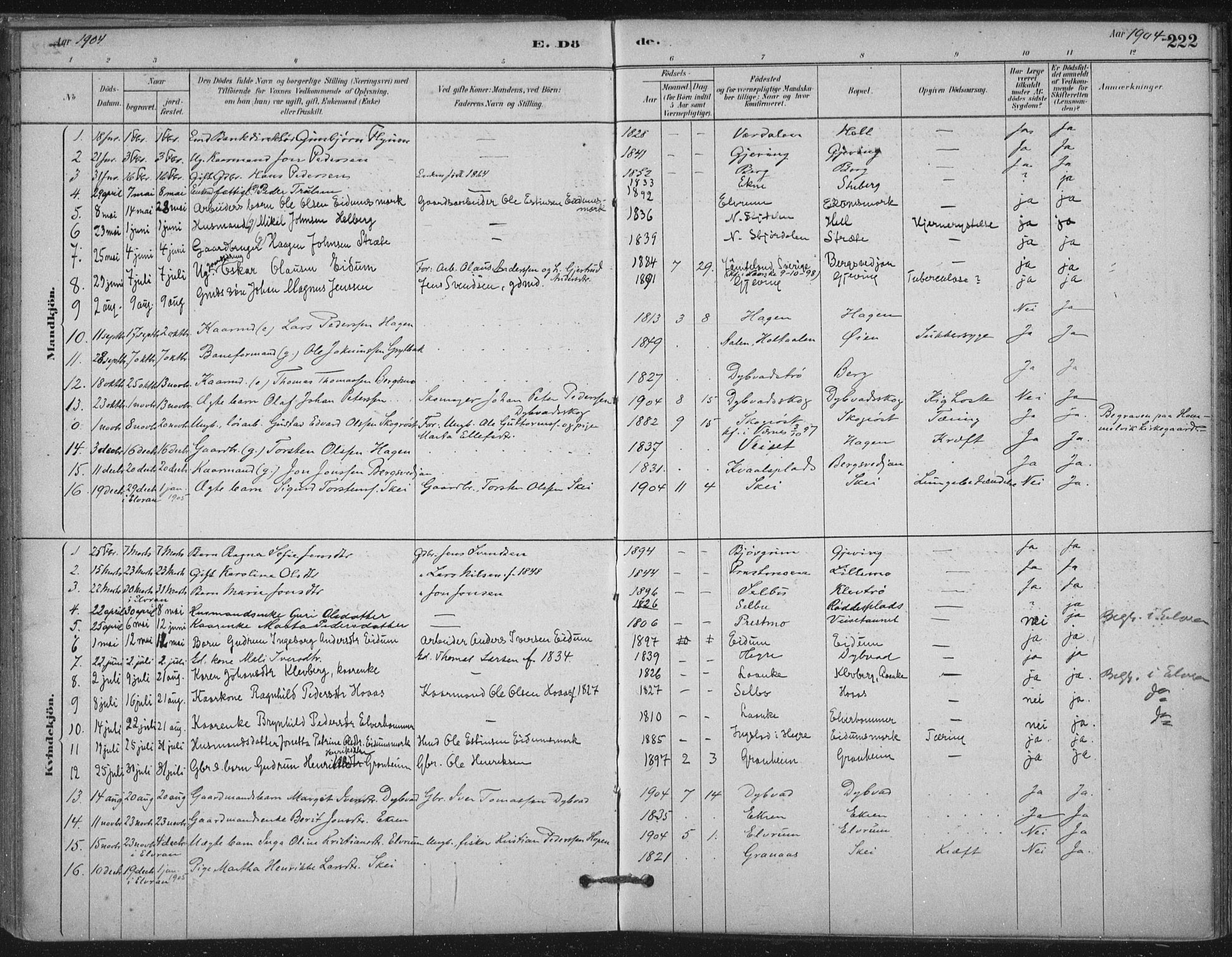 Ministerialprotokoller, klokkerbøker og fødselsregistre - Nord-Trøndelag, SAT/A-1458/710/L0095: Parish register (official) no. 710A01, 1880-1914, p. 222
