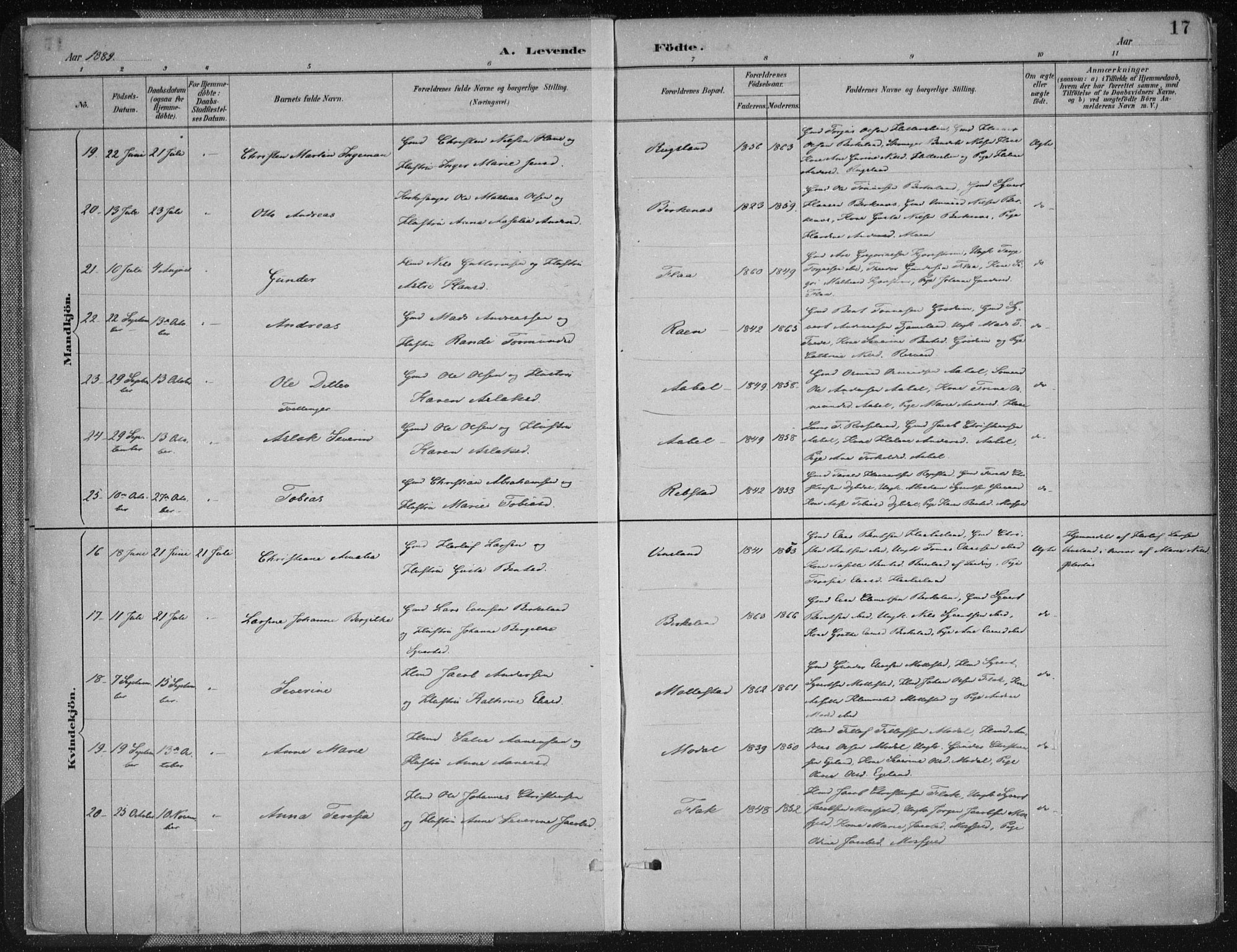 Birkenes sokneprestkontor, AV/SAK-1111-0004/F/Fa/L0005: Parish register (official) no. A 5, 1887-1907, p. 17