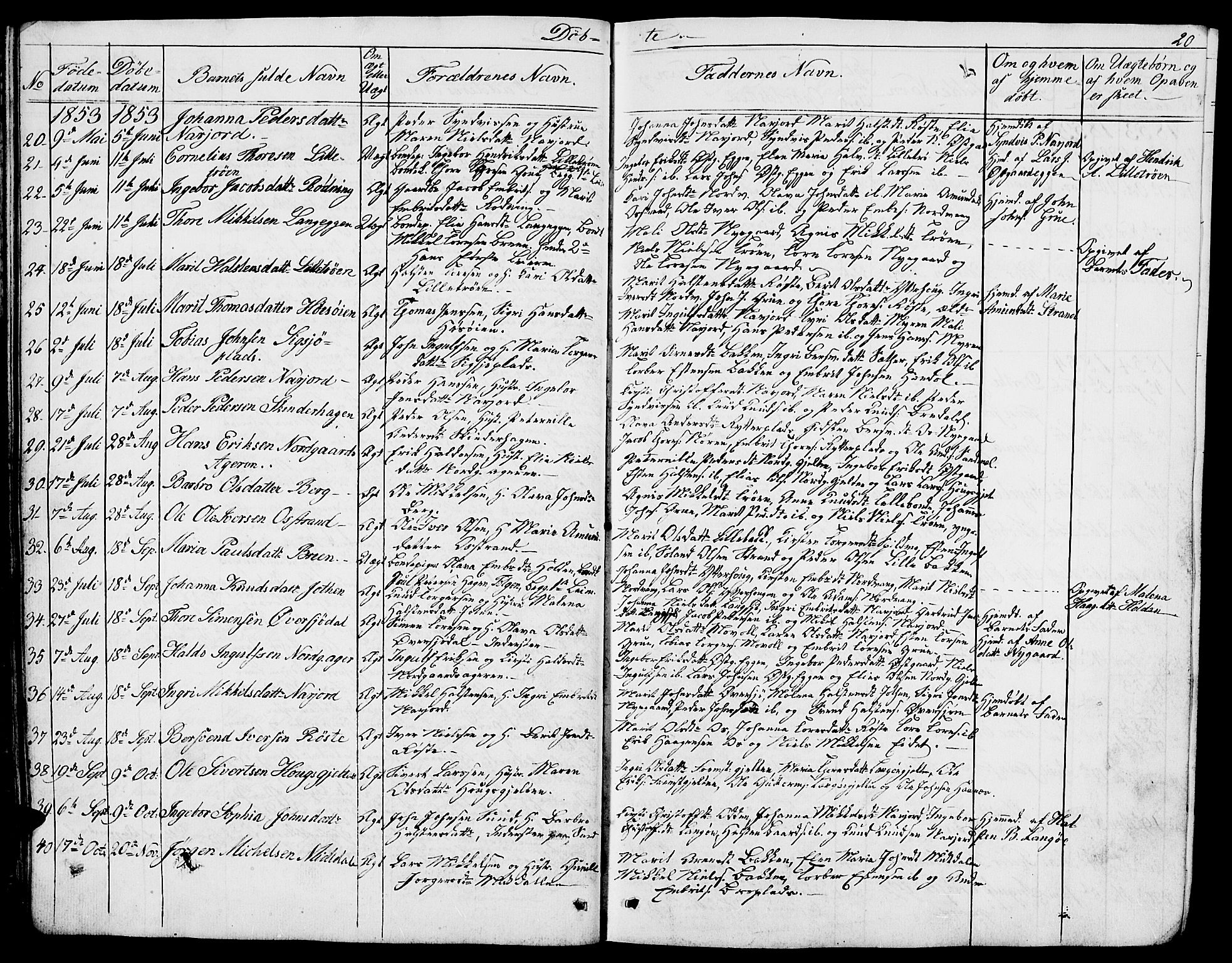 Tolga prestekontor, AV/SAH-PREST-062/L/L0004: Parish register (copy) no. 4, 1845-1887, p. 20