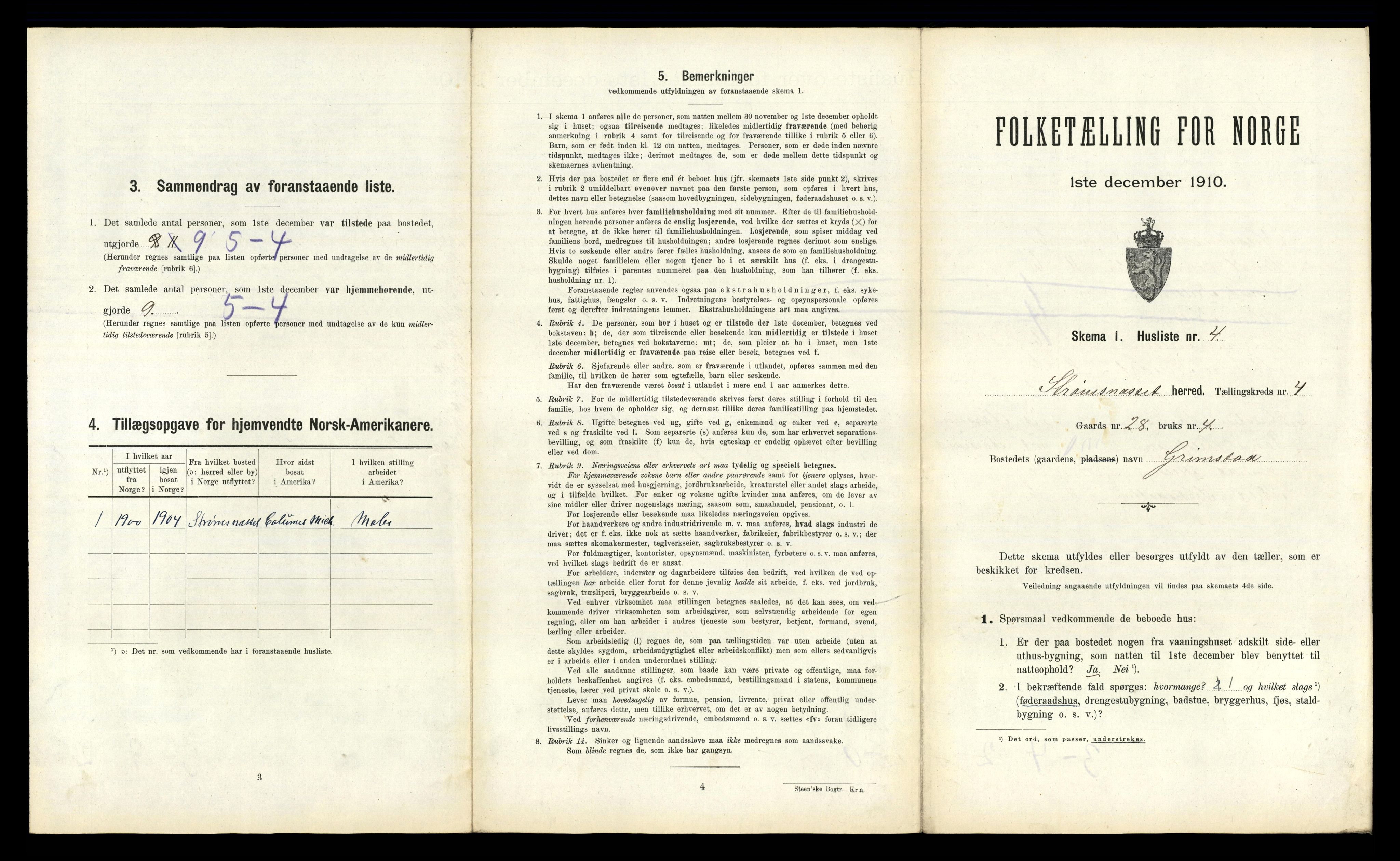 RA, 1910 census for Straumsnes, 1910, p. 217