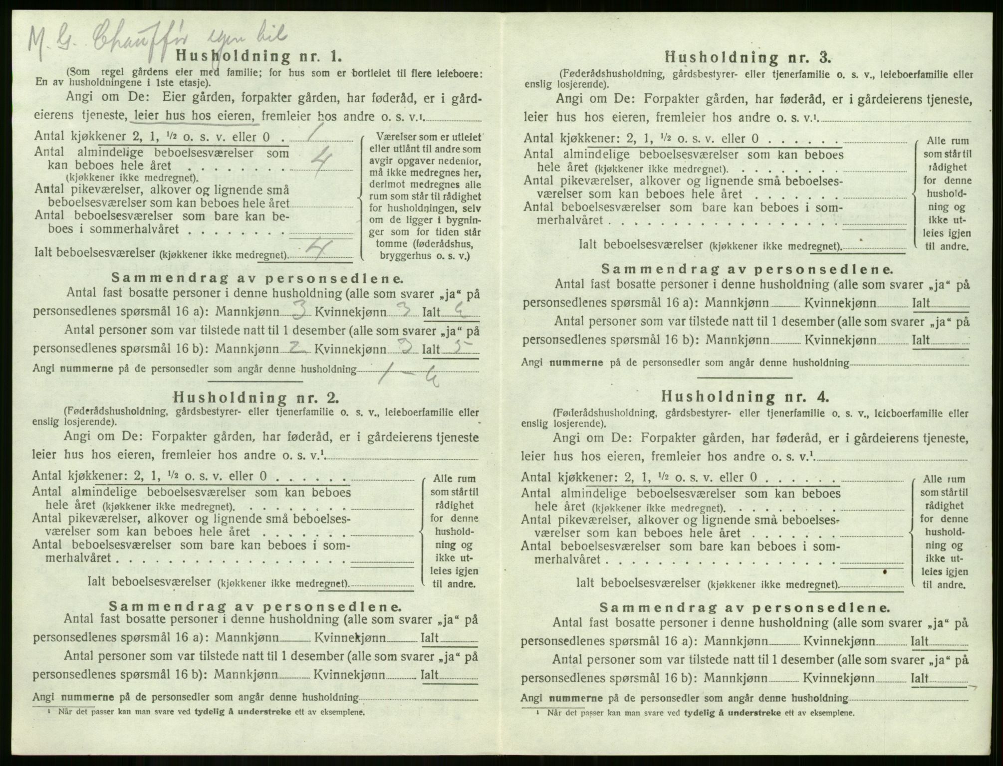 SAKO, 1920 census for Borre, 1920, p. 799