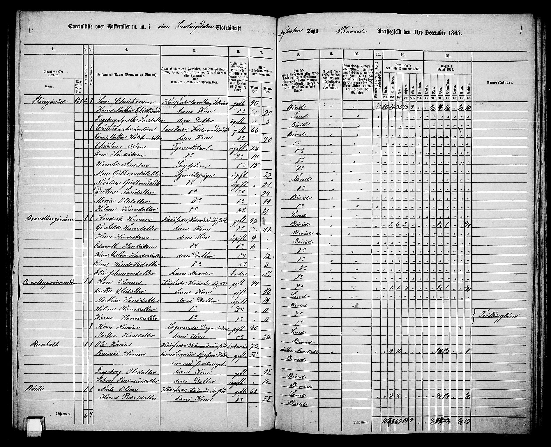 RA, 1865 census for Biri, 1865, p. 117