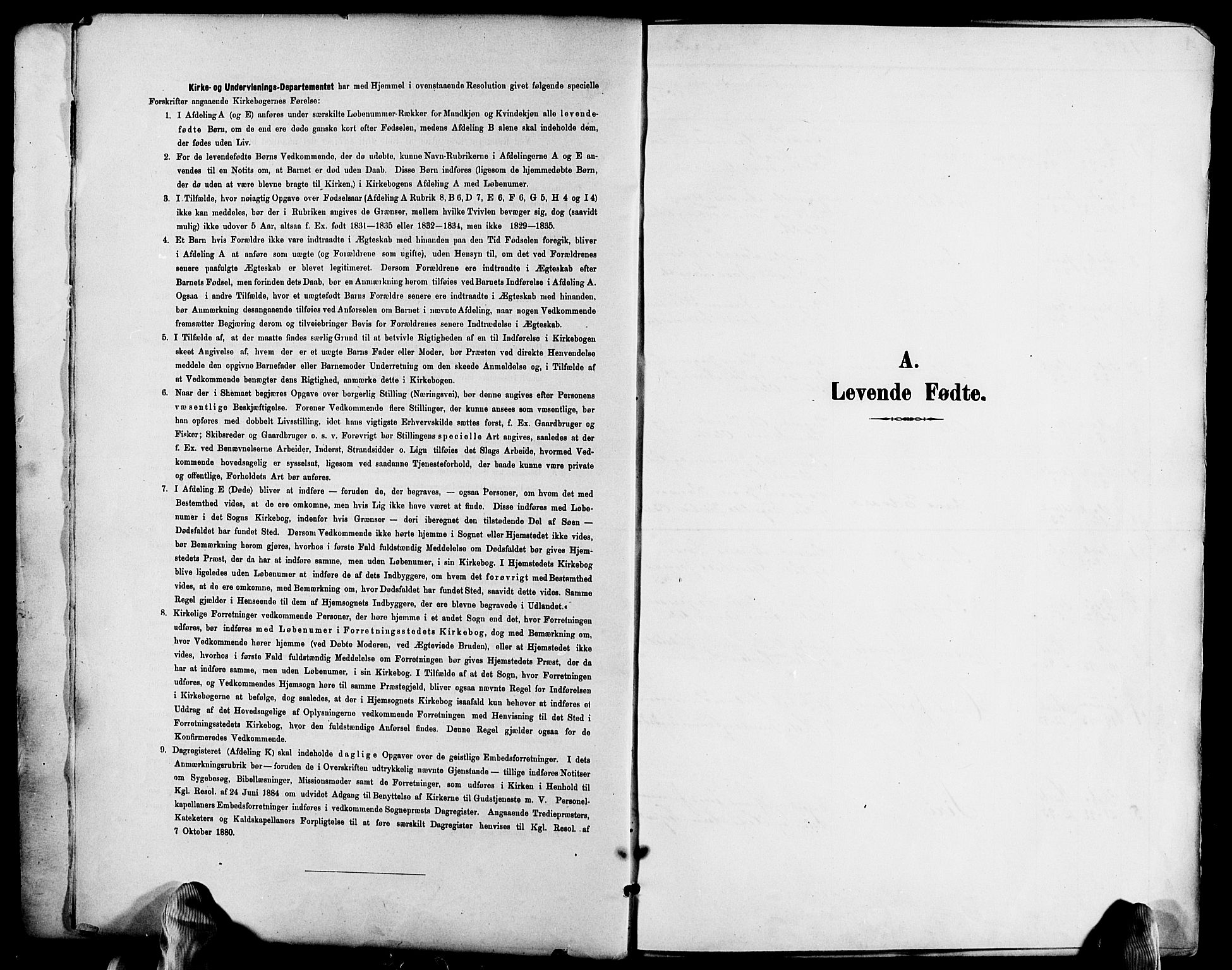 Froland sokneprestkontor, SAK/1111-0013/F/Fb/L0010: Parish register (copy) no. B 10, 1893-1920