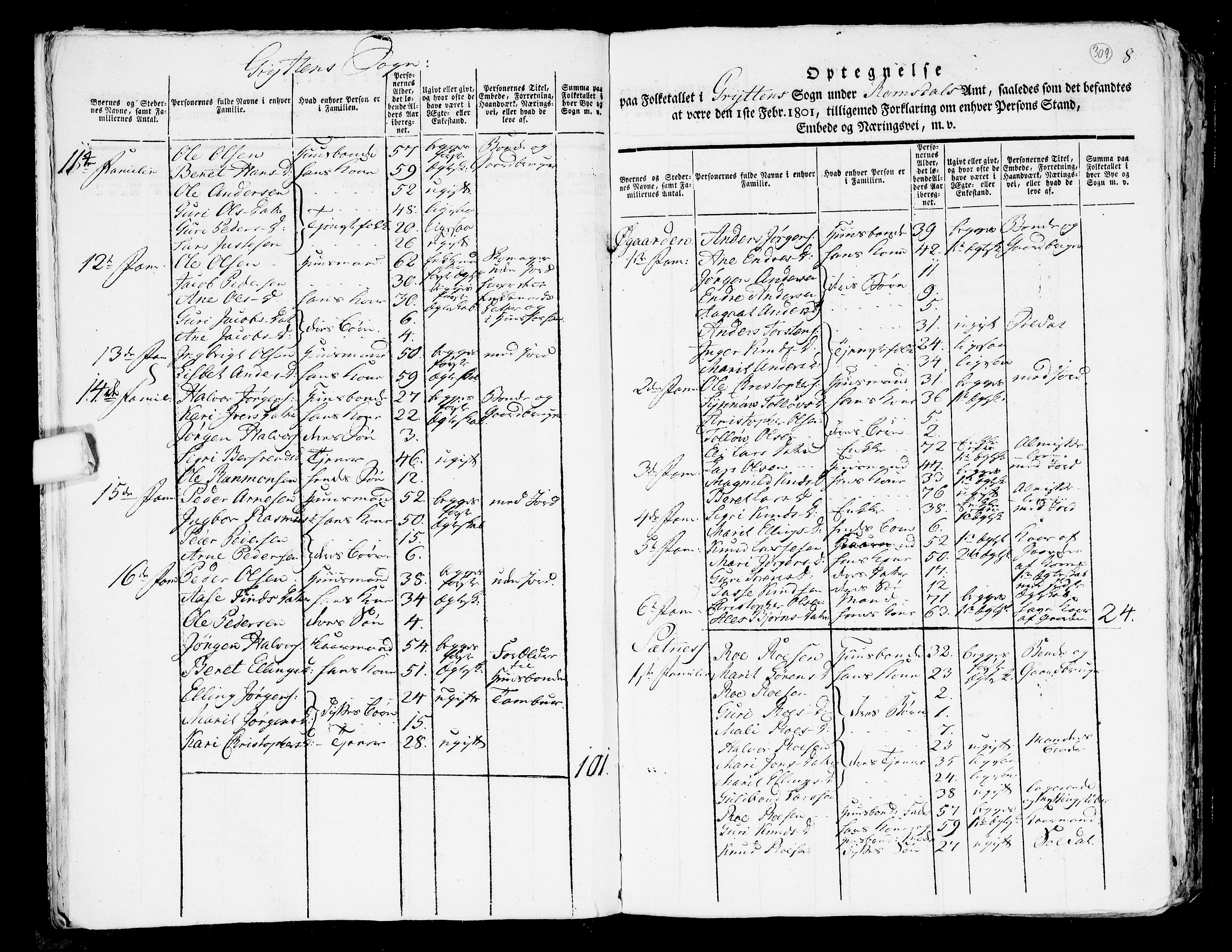 RA, 1801 census for 1539P Grytten, 1801, p. 308b-309a