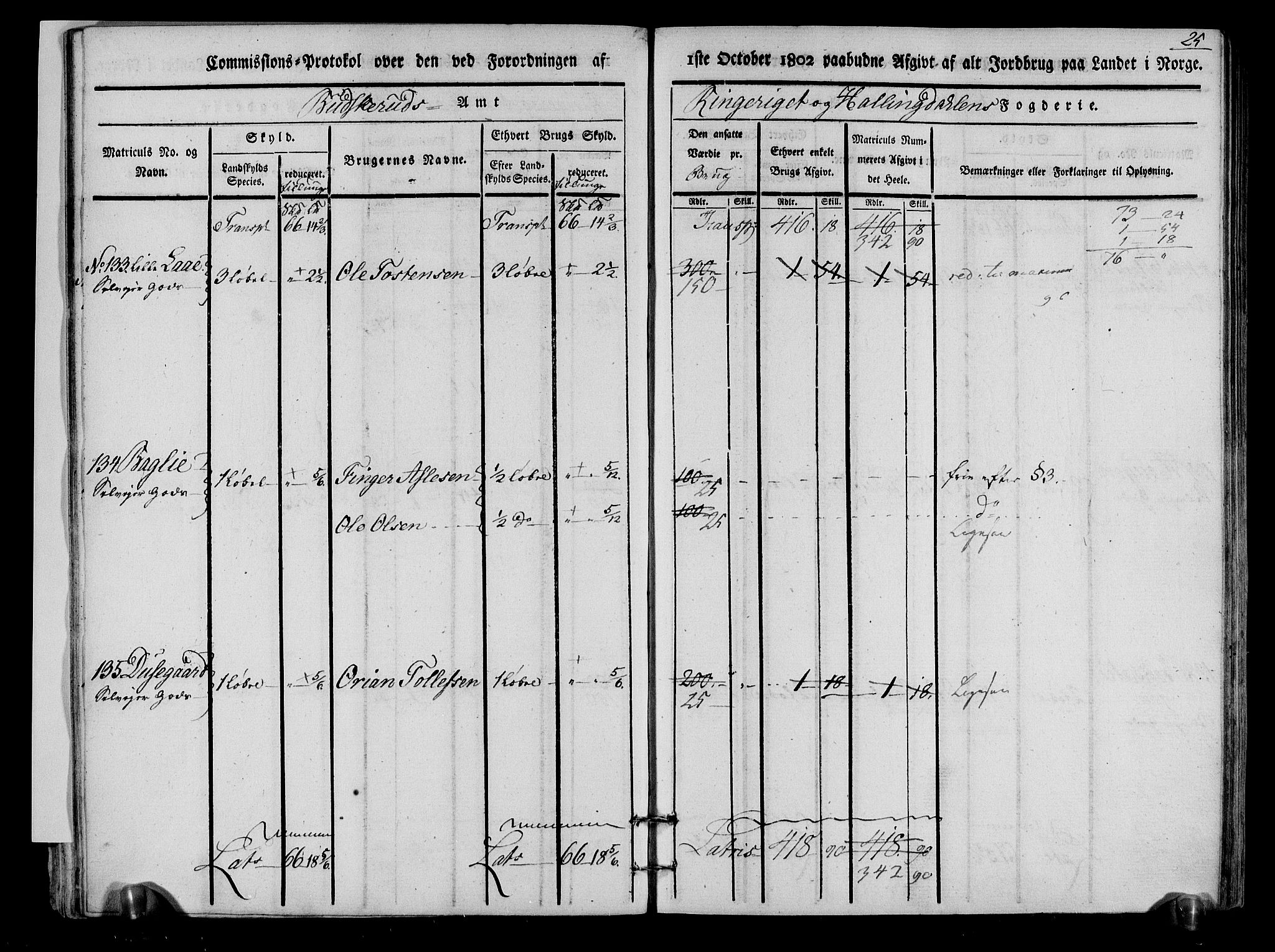 Rentekammeret inntil 1814, Realistisk ordnet avdeling, RA/EA-4070/N/Ne/Nea/L0048: Ringerike og Hallingdal fogderi. Kommisjonsprotokoll for Ål prestegjeld, 1803, p. 28