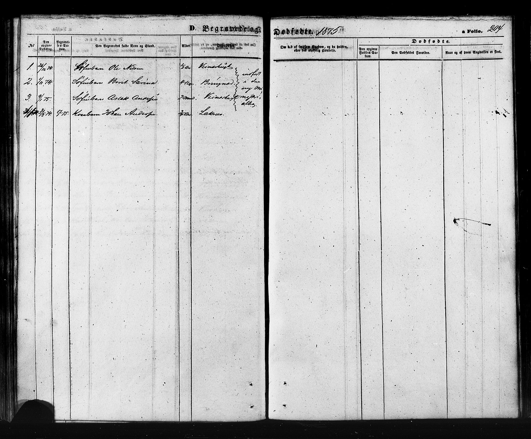 Kistrand/Porsanger sokneprestembete, SATØ/S-1351/H/Ha/L0005.kirke: Parish register (official) no. 5, 1860-1874, p. 204