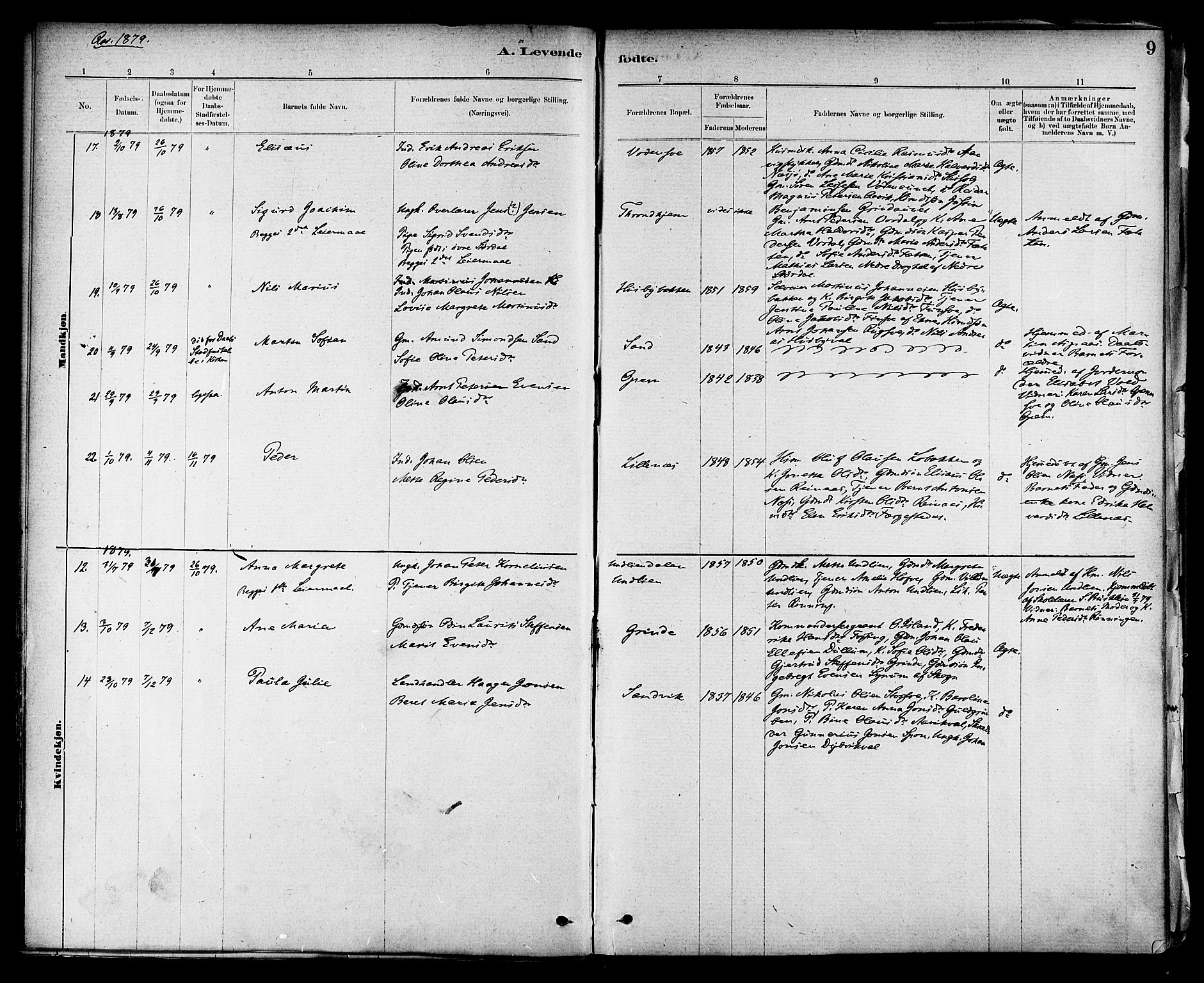Ministerialprotokoller, klokkerbøker og fødselsregistre - Nord-Trøndelag, SAT/A-1458/714/L0130: Parish register (official) no. 714A01, 1878-1895, p. 9