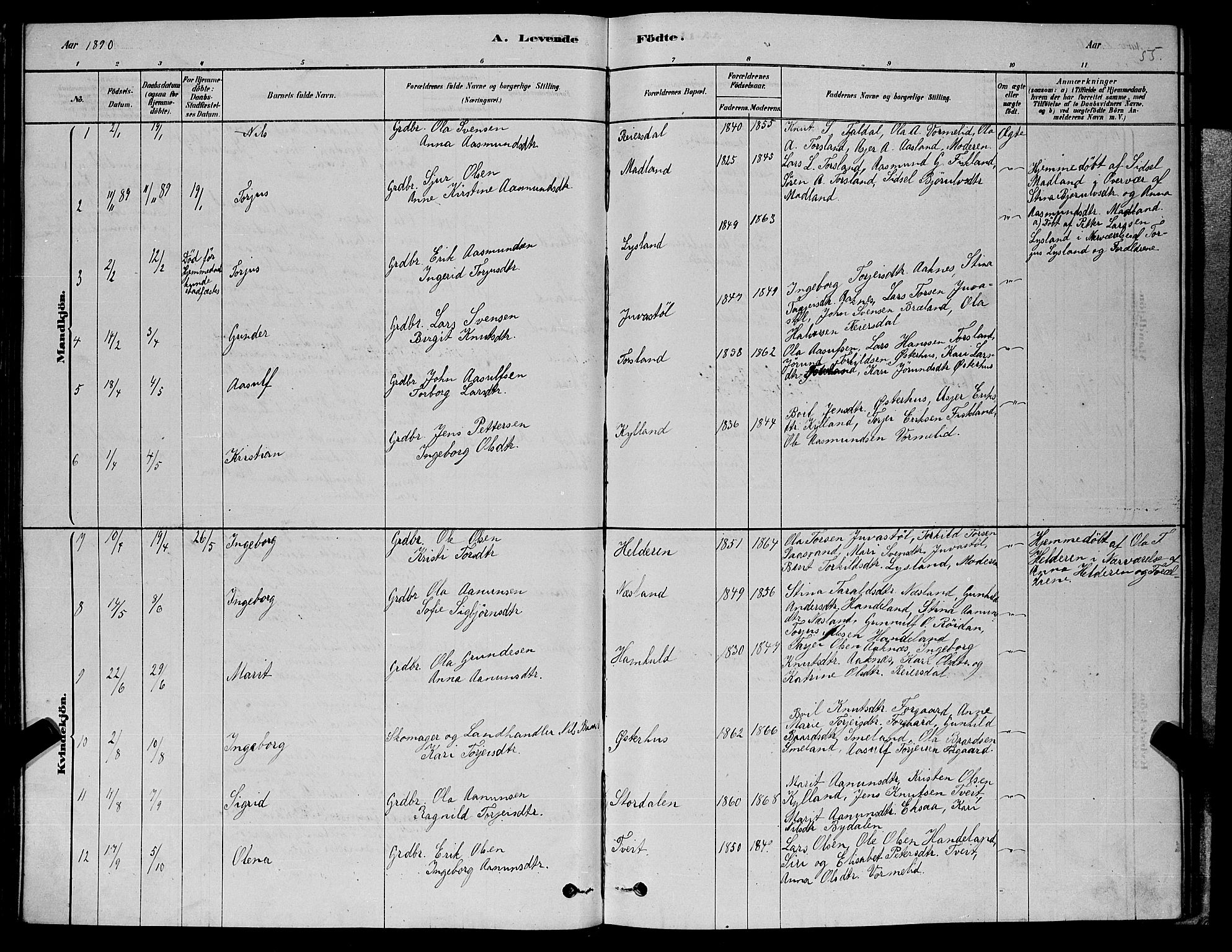 Åseral sokneprestkontor, AV/SAK-1111-0051/F/Fb/L0002: Parish register (copy) no. B 2, 1878-1899, p. 55