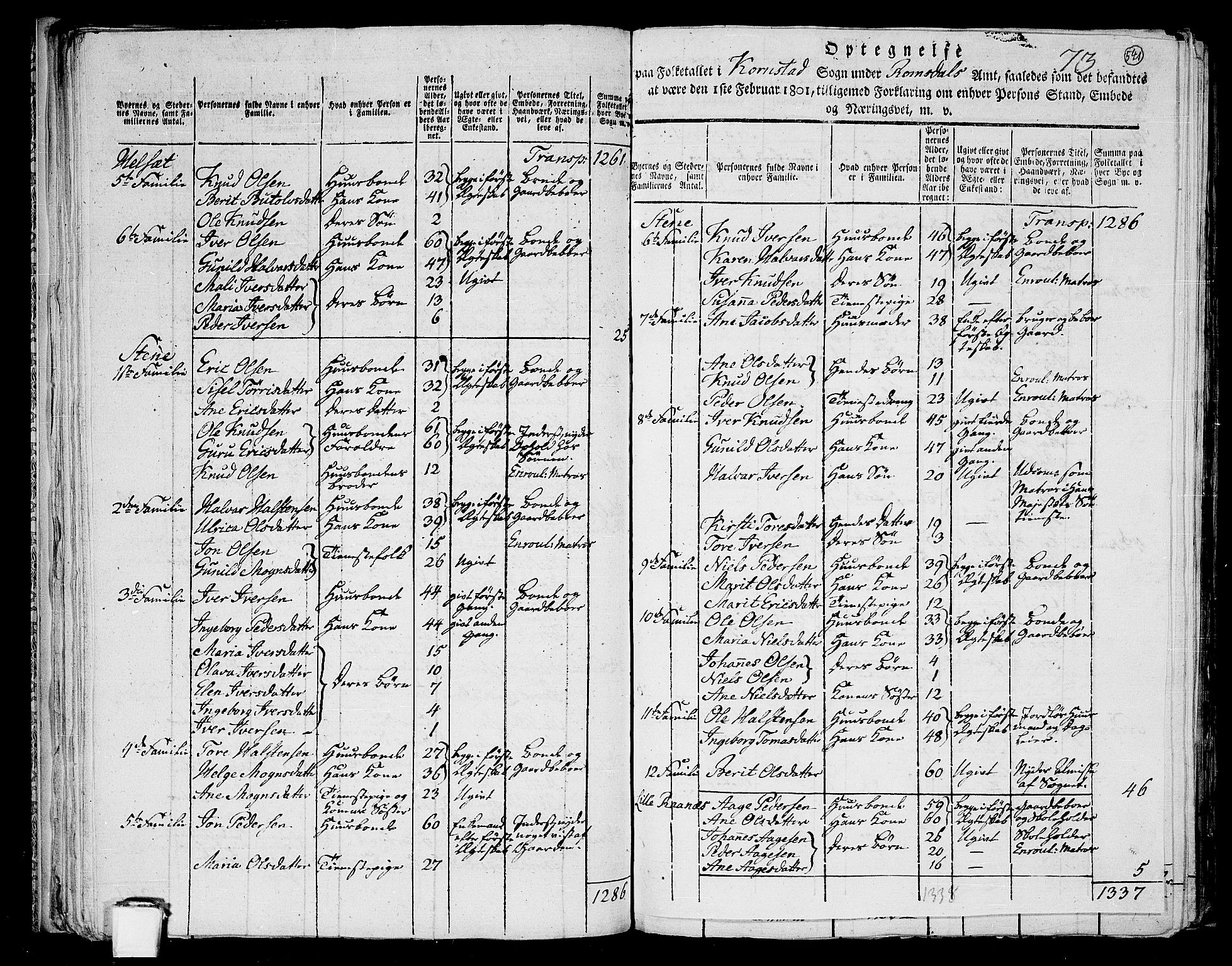 RA, 1801 census for 1553P Kvernes, 1801, p. 540b-541a