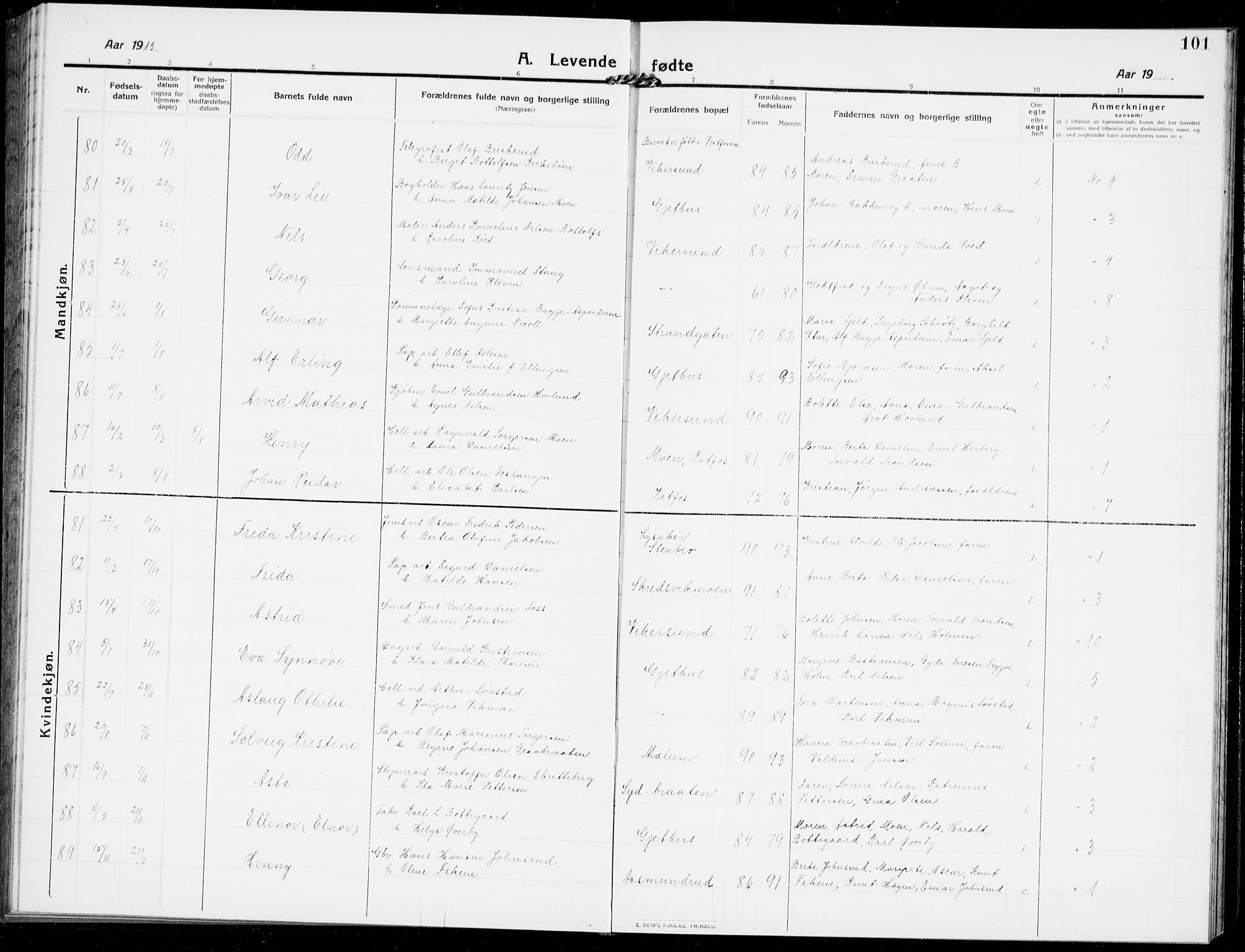 Modum kirkebøker, AV/SAKO-A-234/G/Ga/L0009: Parish register (copy) no. I 9, 1909-1923, p. 101