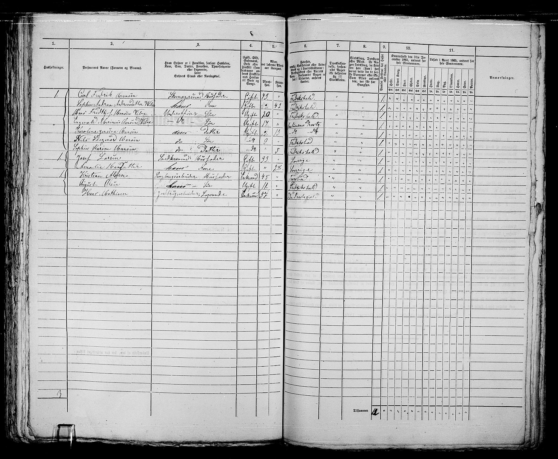 RA, 1865 census for Fredrikshald, 1865, p. 1161