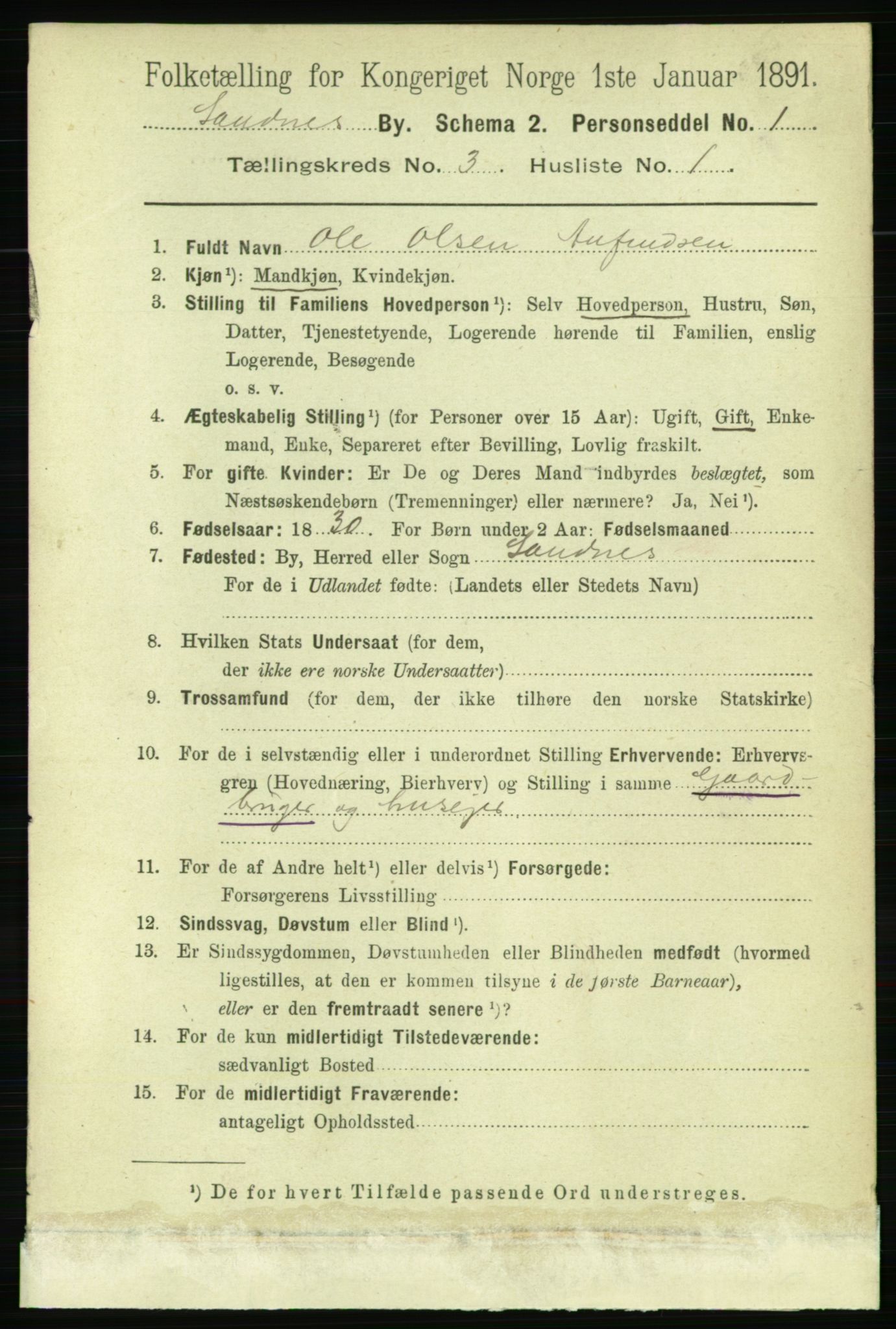 RA, 1891 census for 1102 Sandnes, 1891, p. 1462