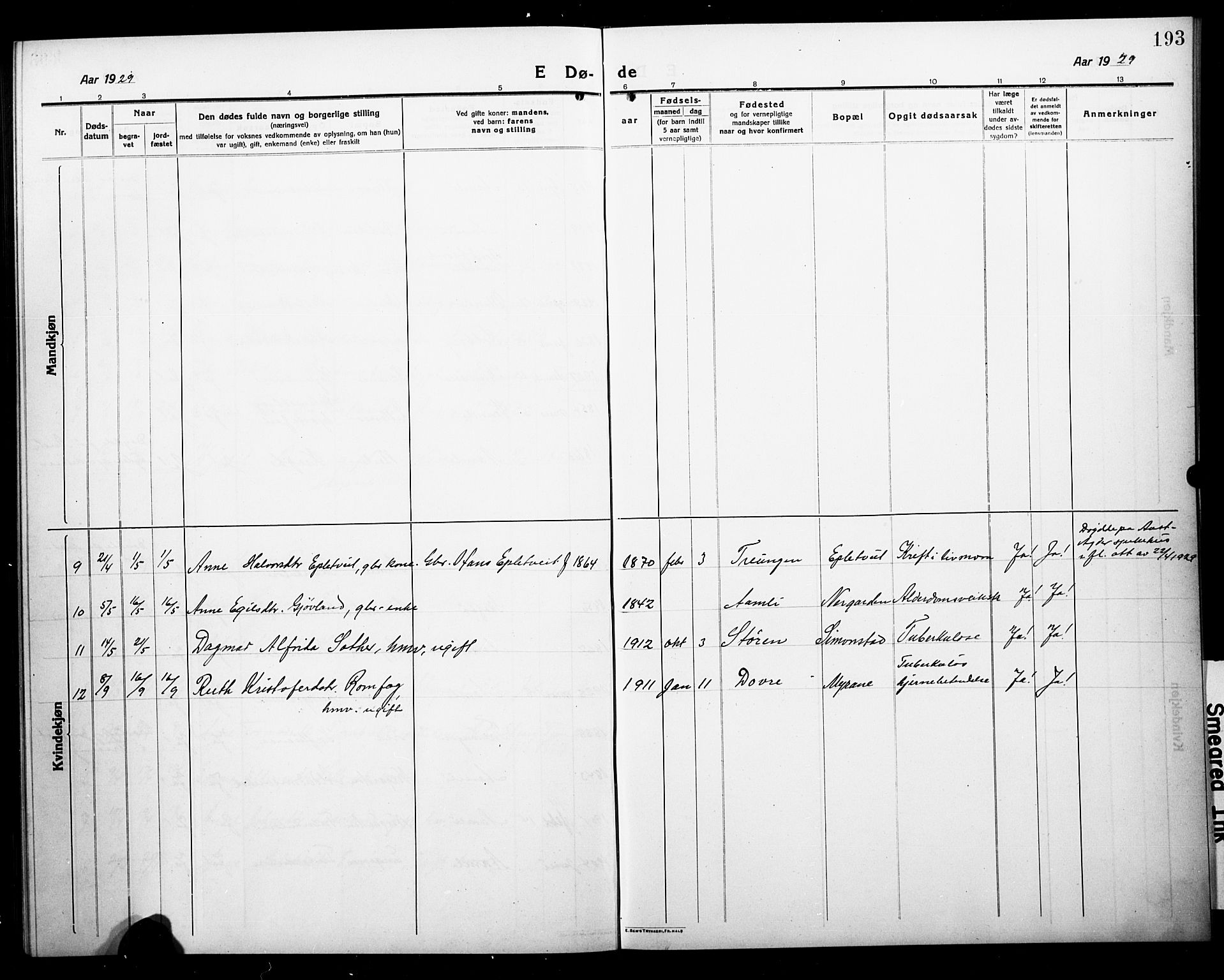 Åmli sokneprestkontor, AV/SAK-1111-0050/F/Fb/Fbc/L0006: Parish register (copy) no. B 6, 1915-1929, p. 193