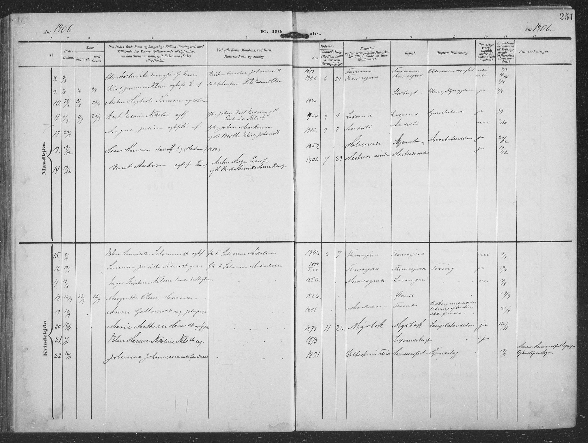 Balsfjord sokneprestembete, SATØ/S-1303/G/Ga/L0009klokker: Parish register (copy) no. 9, 1906-1920, p. 251
