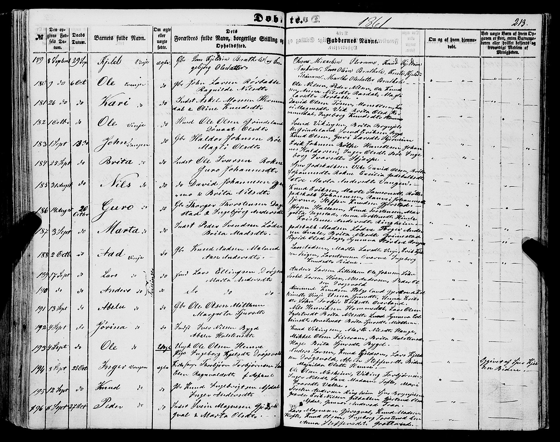 Voss sokneprestembete, SAB/A-79001/H/Haa: Parish register (official) no. A 16, 1849-1863, p. 213