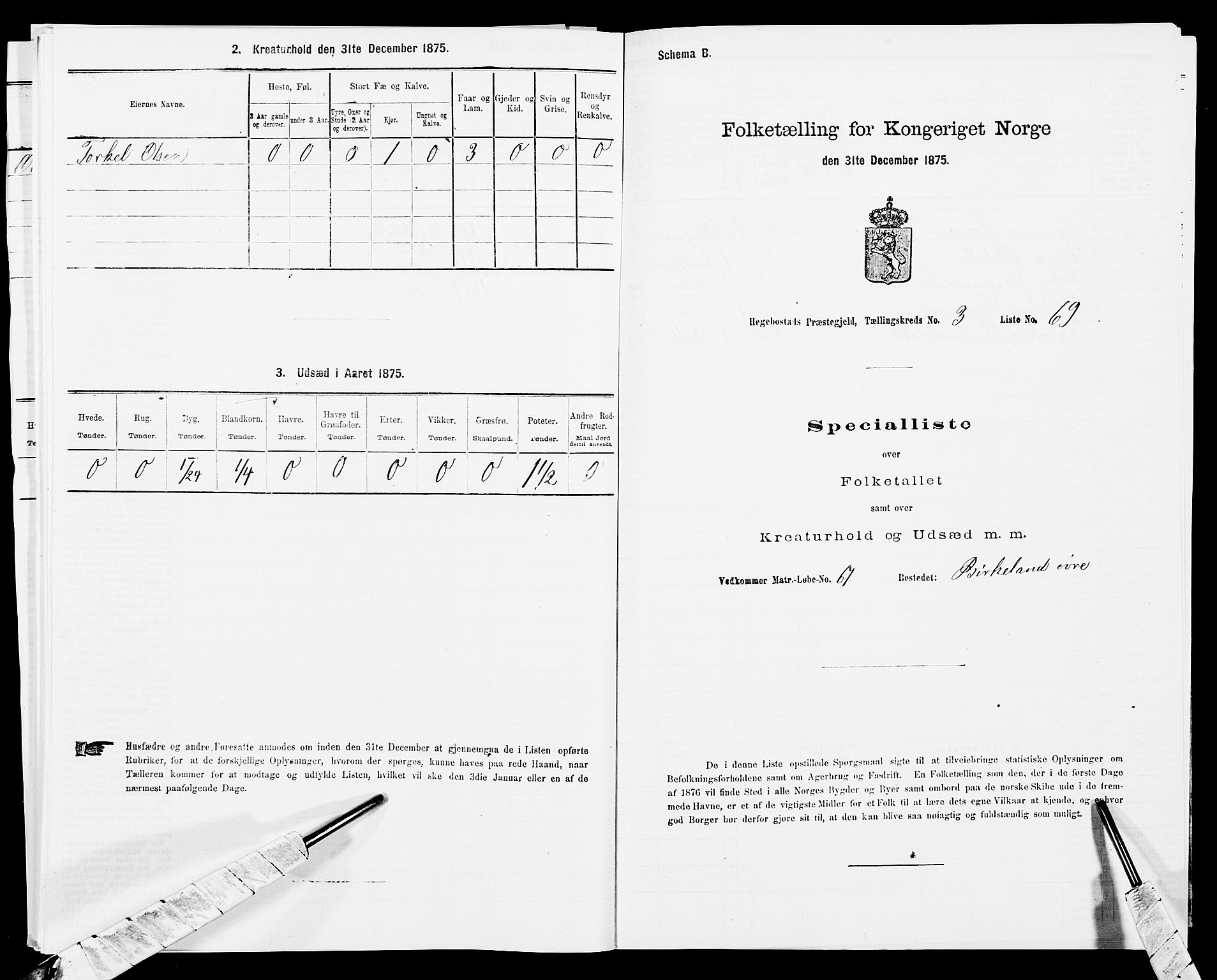 SAK, 1875 census for 1034P Hægebostad, 1875, p. 339