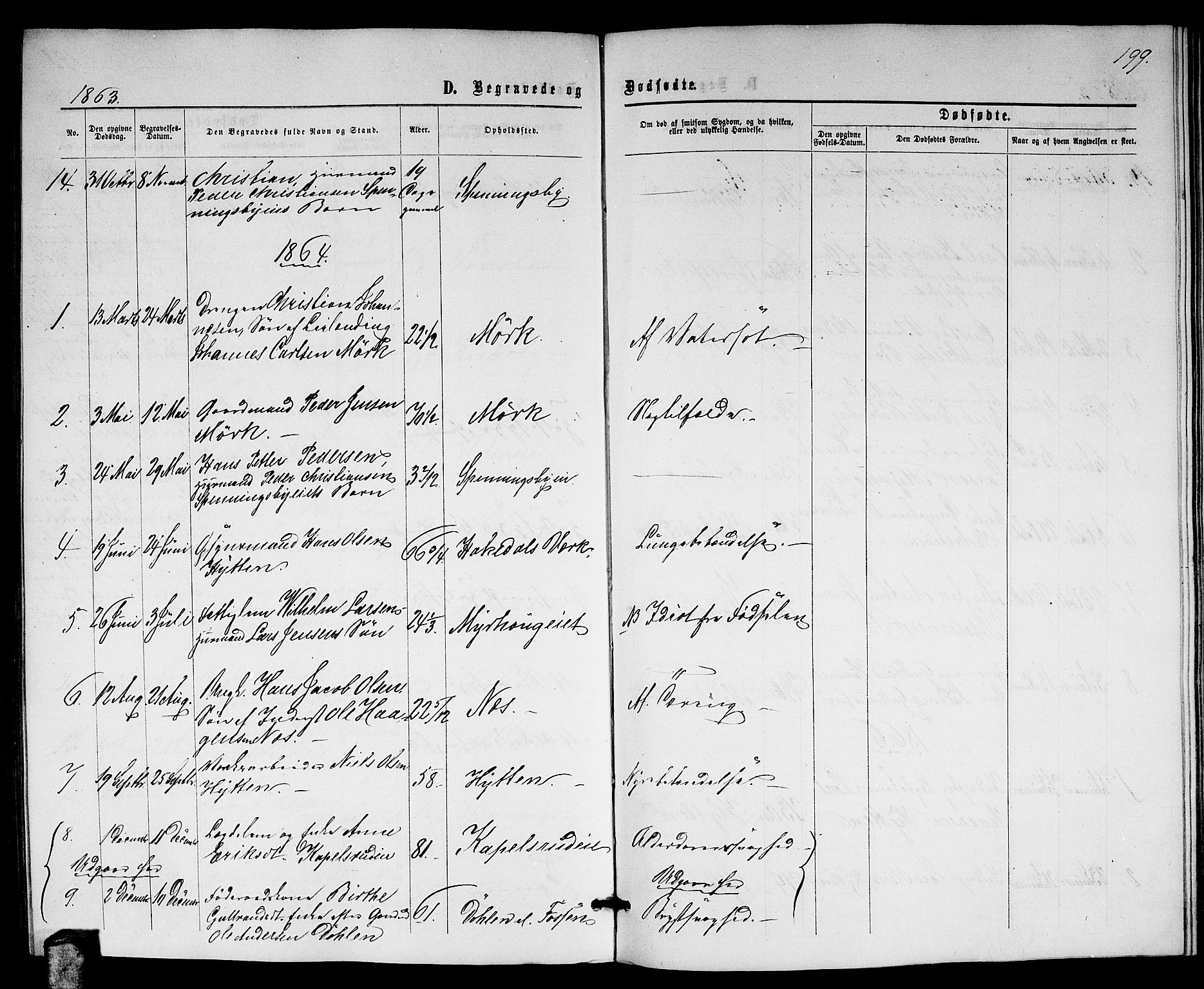 Nittedal prestekontor Kirkebøker, AV/SAO-A-10365a/G/Gb/L0001: Parish register (copy) no. II 1, 1859-1878, p. 199