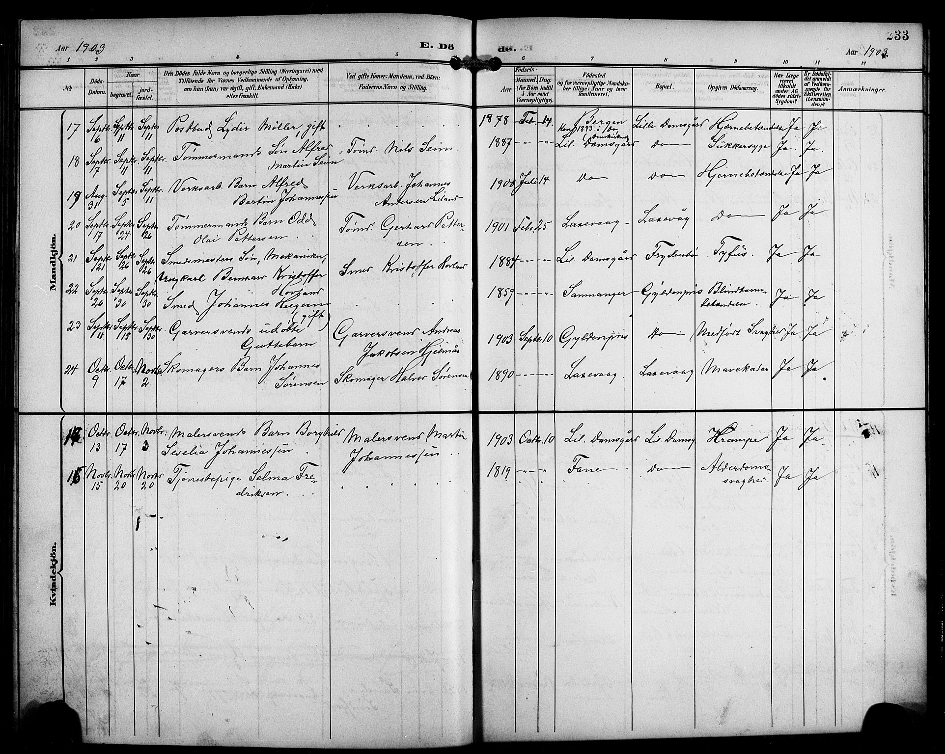 Laksevåg Sokneprestembete, SAB/A-76501/H/Ha/Hab/Haba/L0004: Parish register (copy) no. A 4, 1899-1909, p. 233