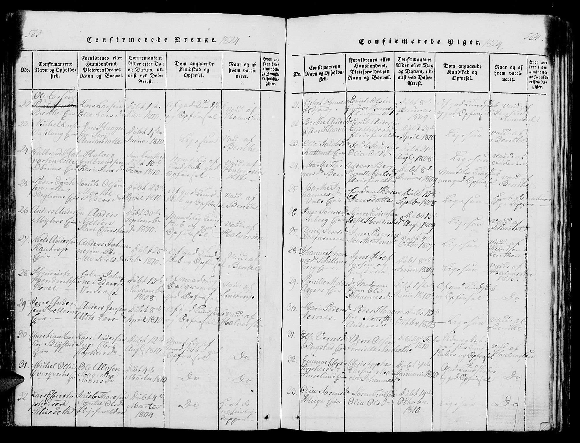 Vang prestekontor, Hedmark, AV/SAH-PREST-008/H/Ha/Hab/L0004: Parish register (copy) no. 4, 1813-1827, p. 563-564