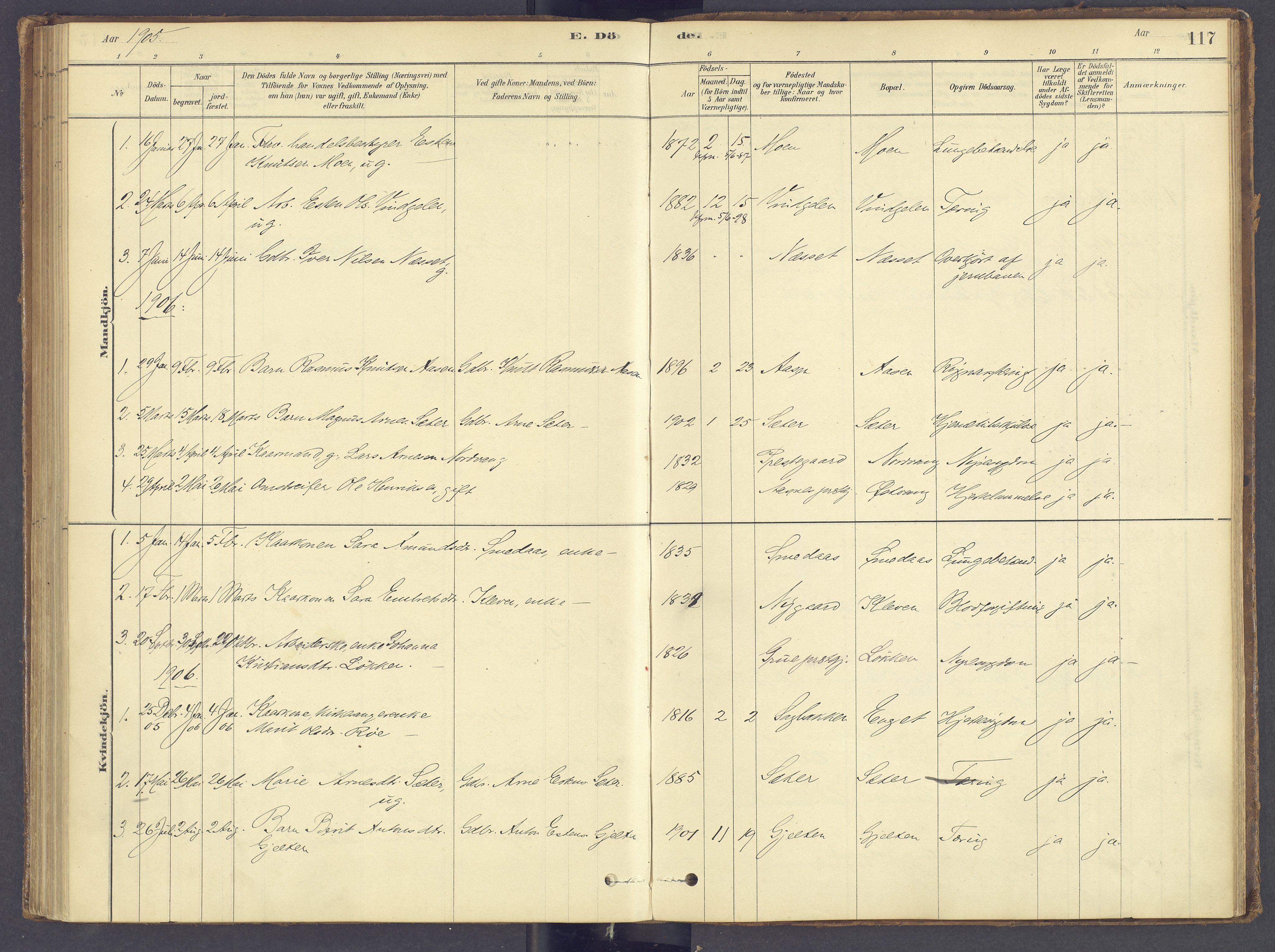 Tolga prestekontor, SAH/PREST-062/K/L0012: Parish register (official) no. 12, 1877-1925, p. 117