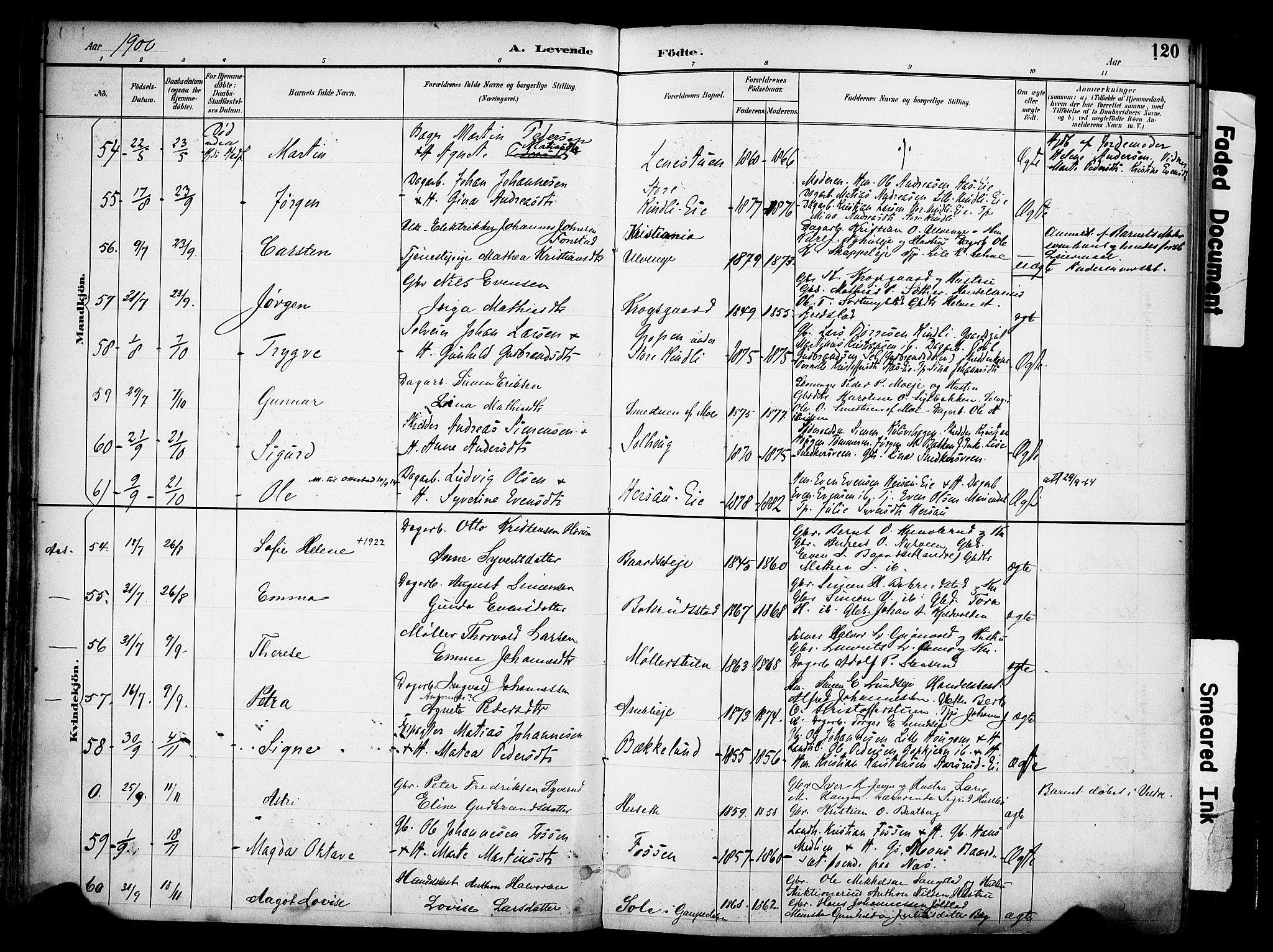 Ringsaker prestekontor, AV/SAH-PREST-014/K/Ka/L0017: Parish register (official) no. 17, 1891-1902, p. 120