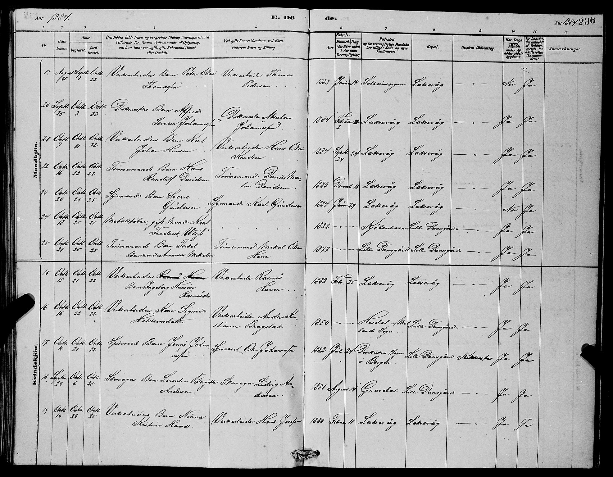Laksevåg Sokneprestembete, SAB/A-76501/H/Ha/Hab/Haba/L0002: Parish register (copy) no. A 2, 1877-1887, p. 236