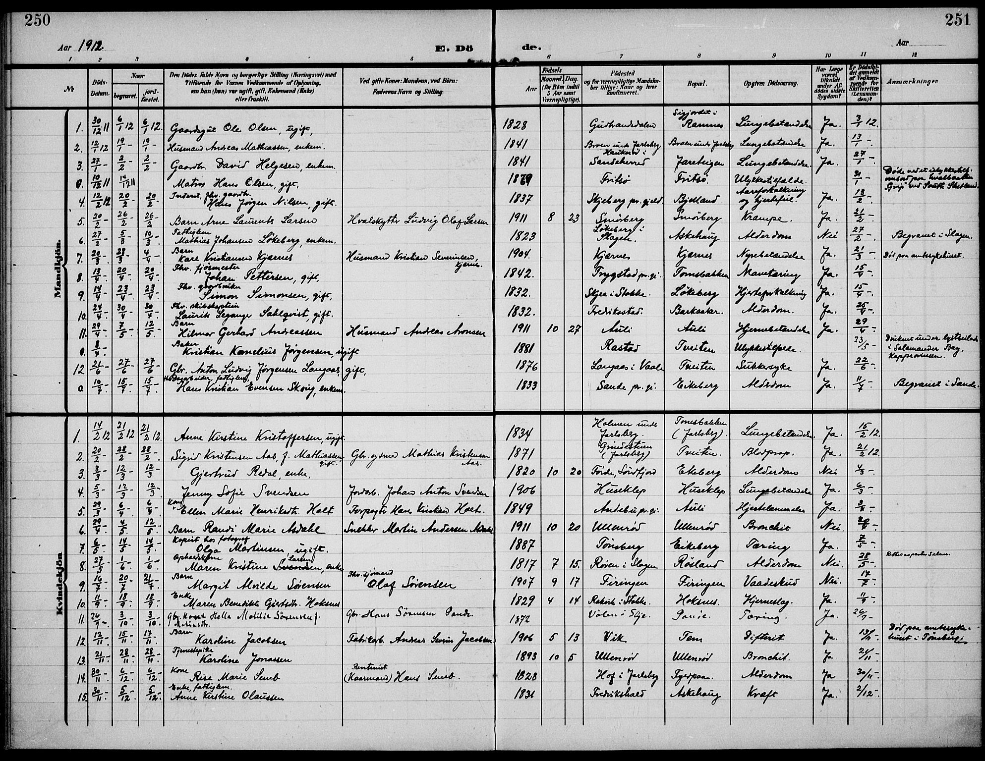 Sem kirkebøker, AV/SAKO-A-5/F/Fa/L0012: Parish register (official) no. I 12, 1905-1915, p. 250-251