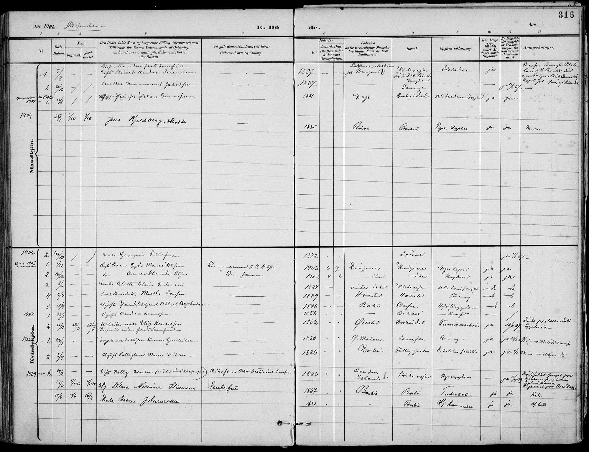 Barbu sokneprestkontor, SAK/1111-0003/F/Fa/L0005: Parish register (official) no. A 5, 1899-1909, p. 316