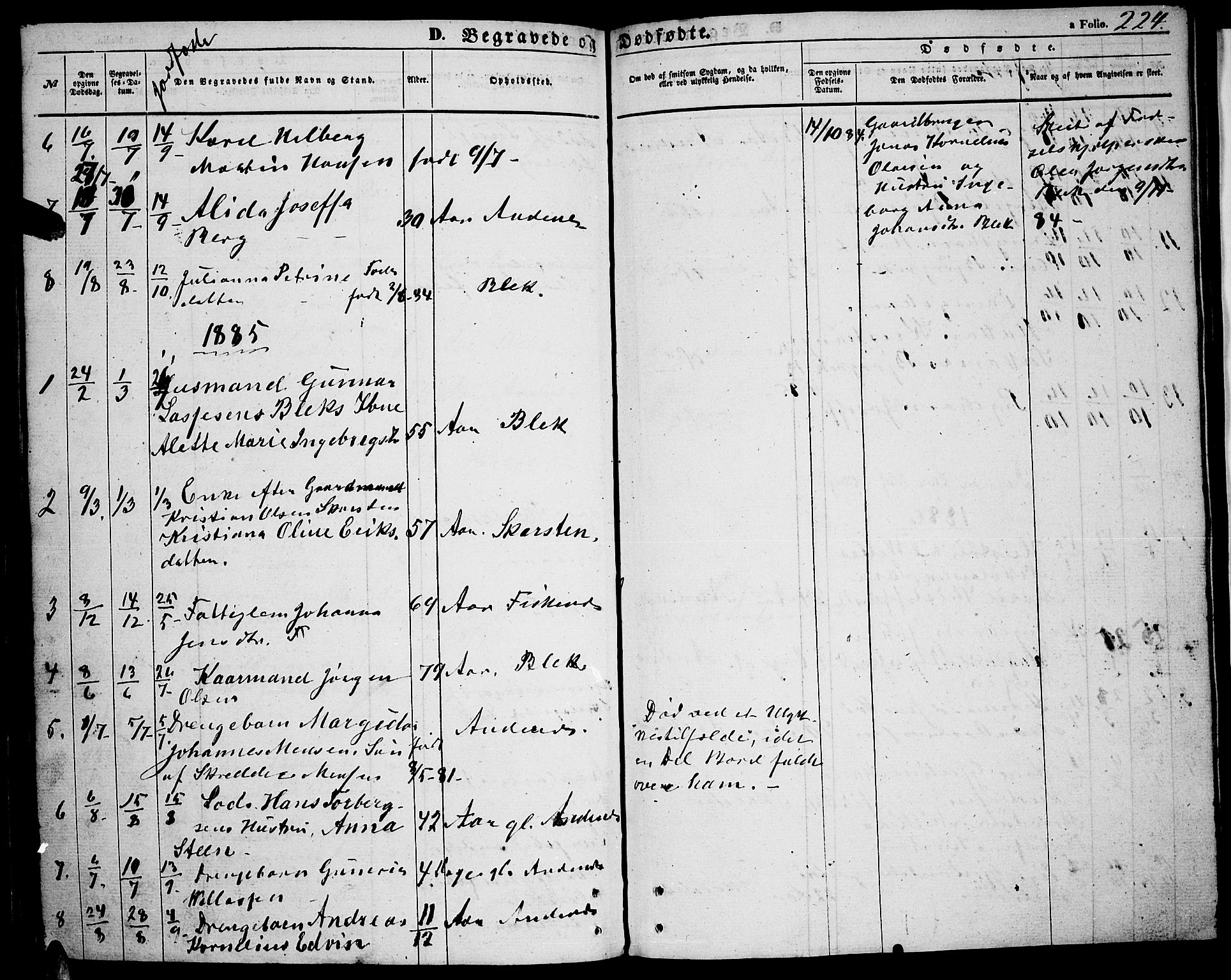 Ministerialprotokoller, klokkerbøker og fødselsregistre - Nordland, SAT/A-1459/899/L1447: Parish register (copy) no. 899C02, 1855-1886, p. 224