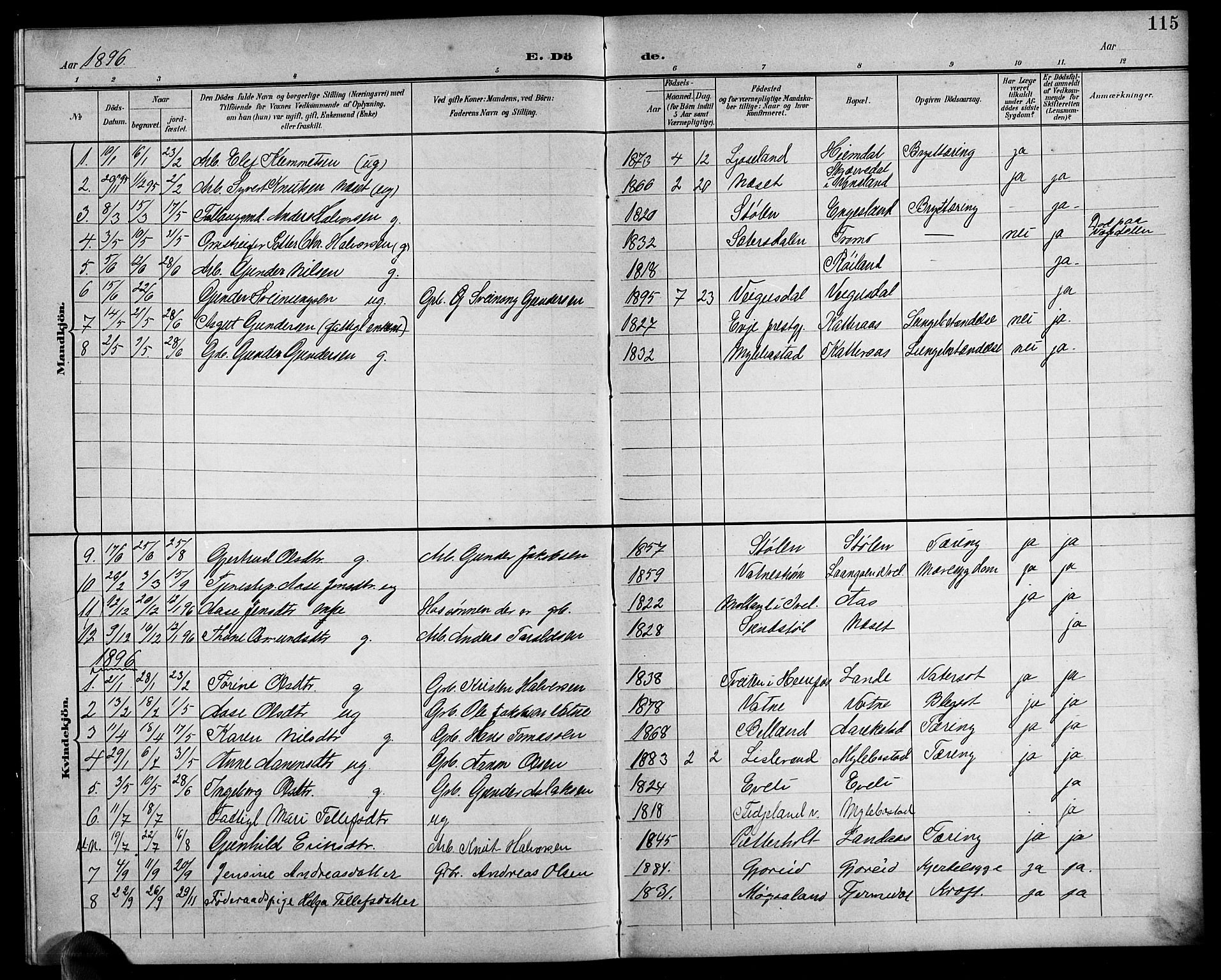 Herefoss sokneprestkontor, SAK/1111-0019/F/Fb/Fbb/L0003: Parish register (copy) no. B 3, 1892-1917, p. 115